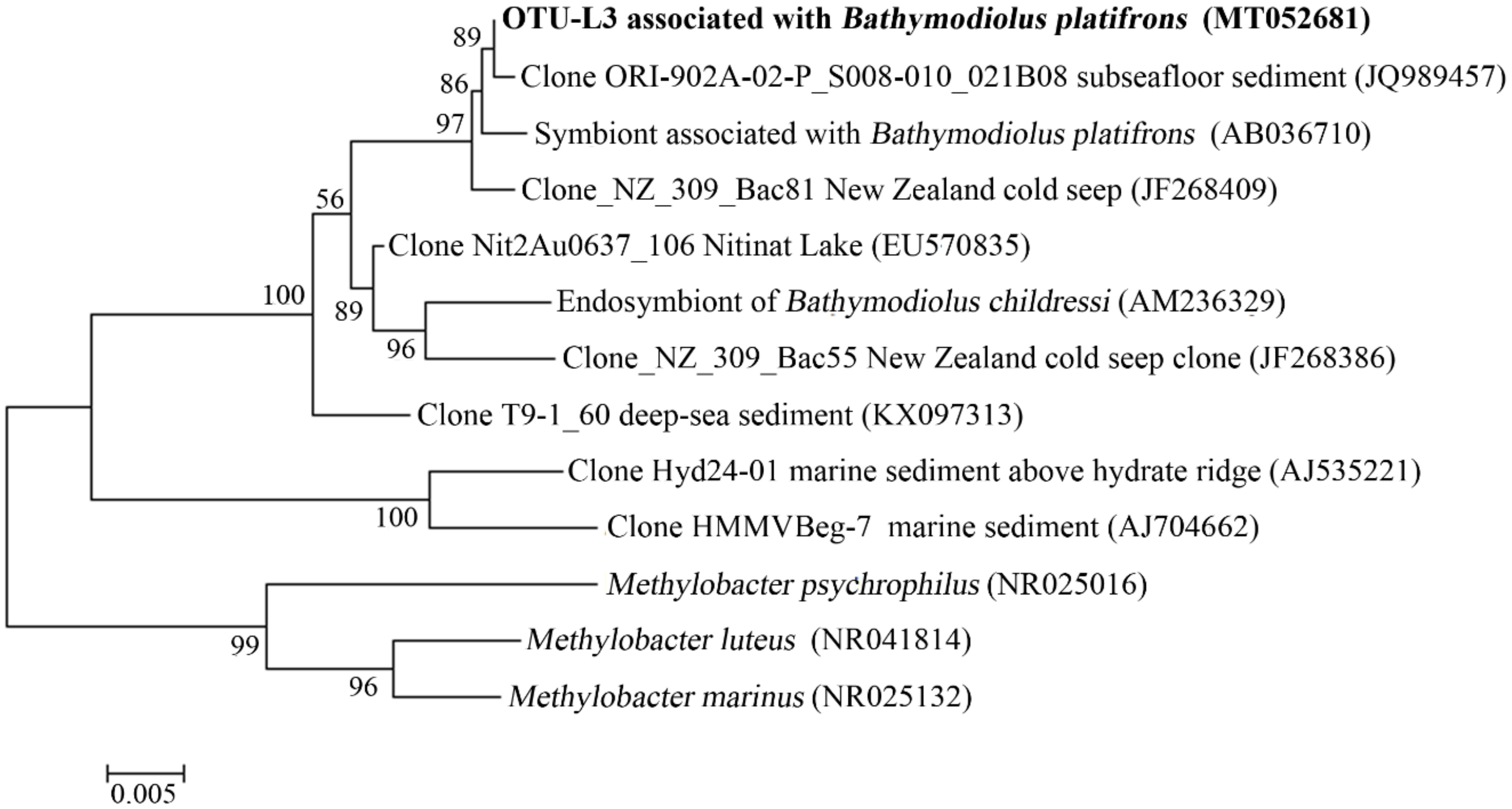 Microorganisms 08 00687 g008 Microorganisms 08 00687 g008