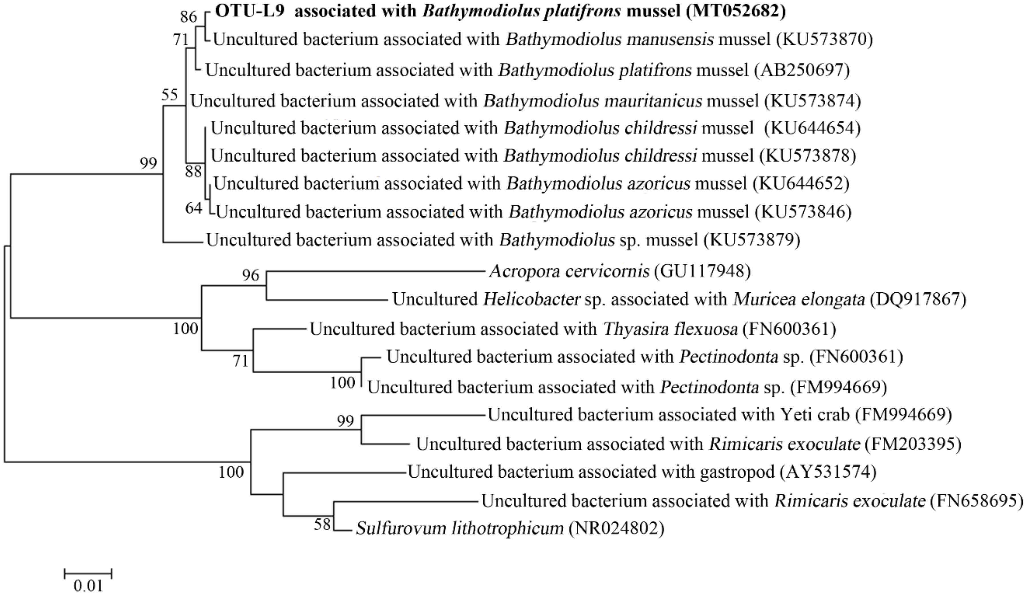 Microorganisms 08 00687 g009 Microorganisms 08 00687 g009