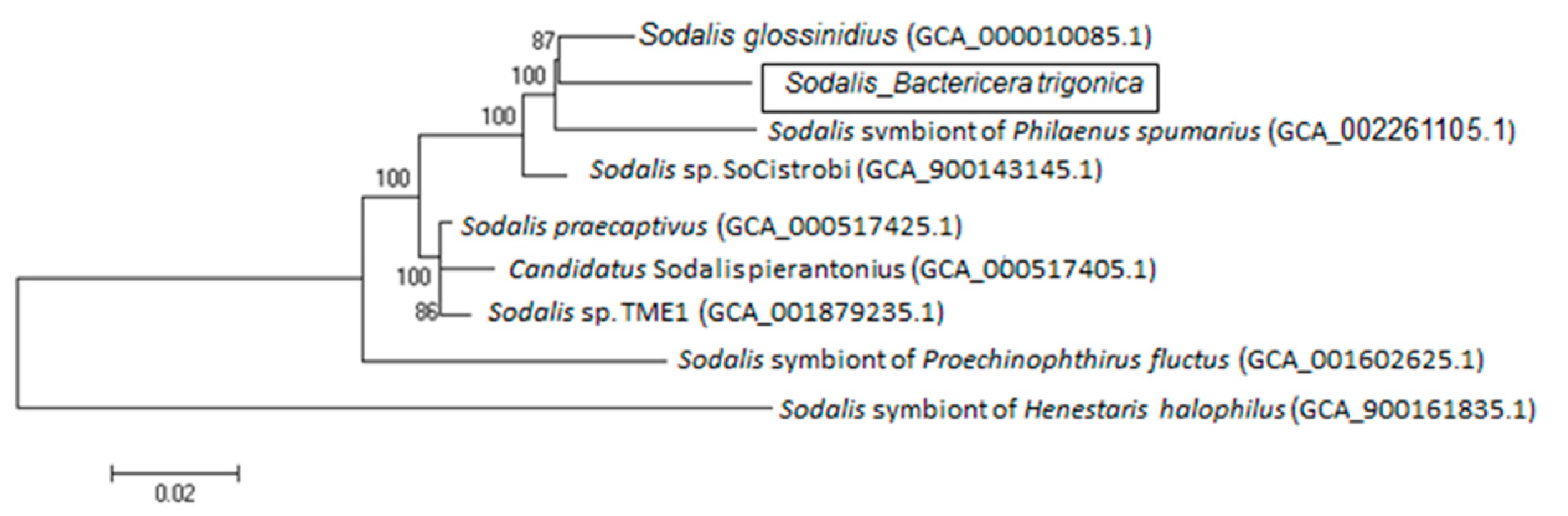 Microorganisms 08 00692 g008 Microorganisms 08 00692 g008