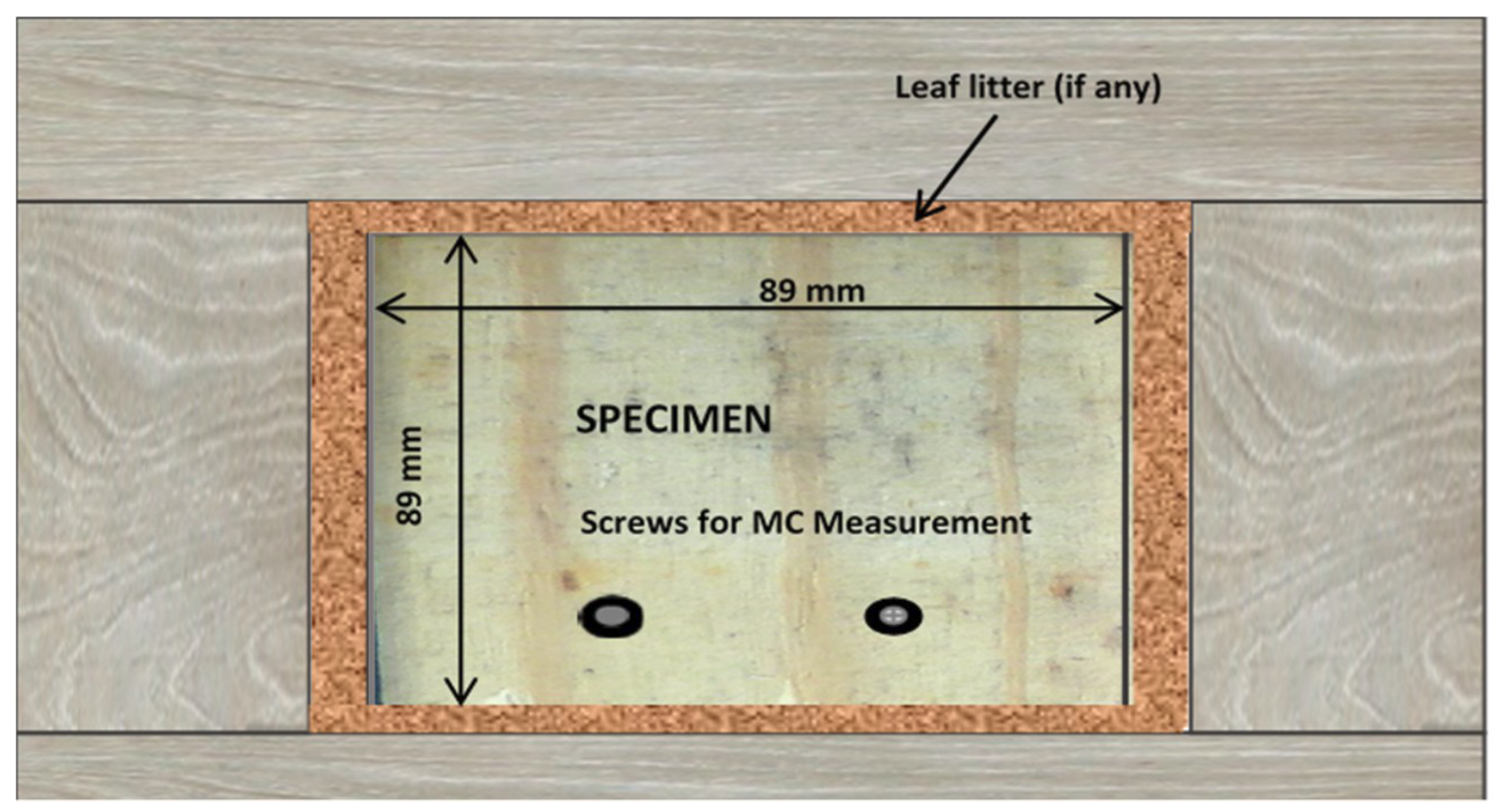 Microorganisms 08 00696 g001