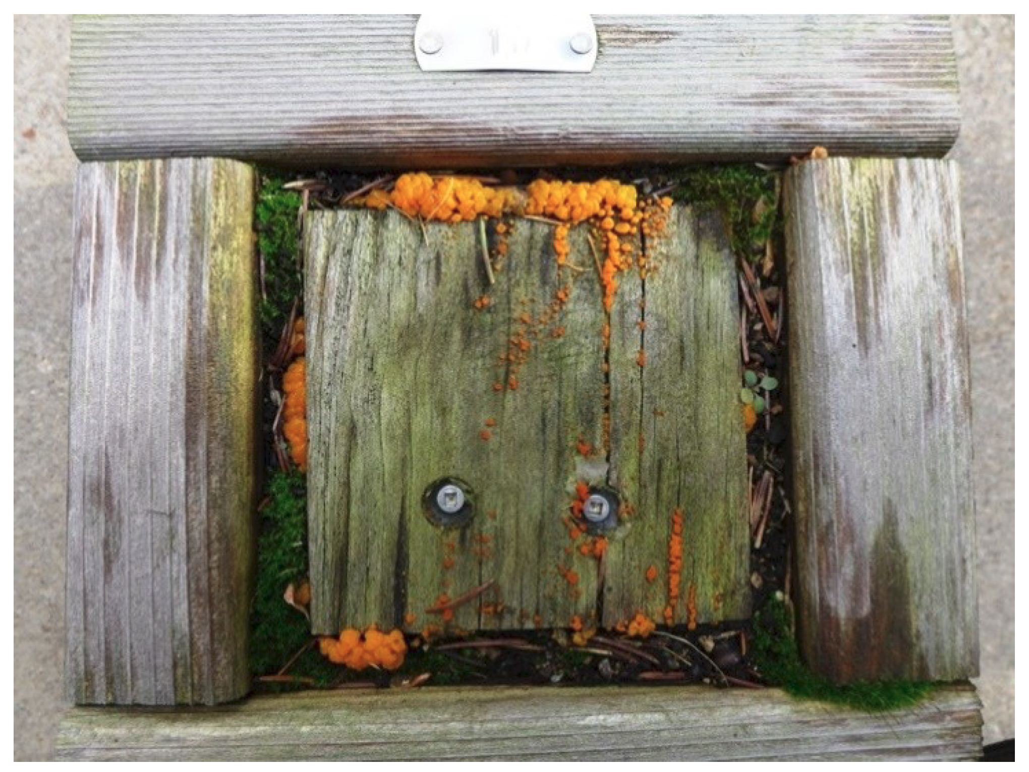 Microorganisms 08 00696 g002