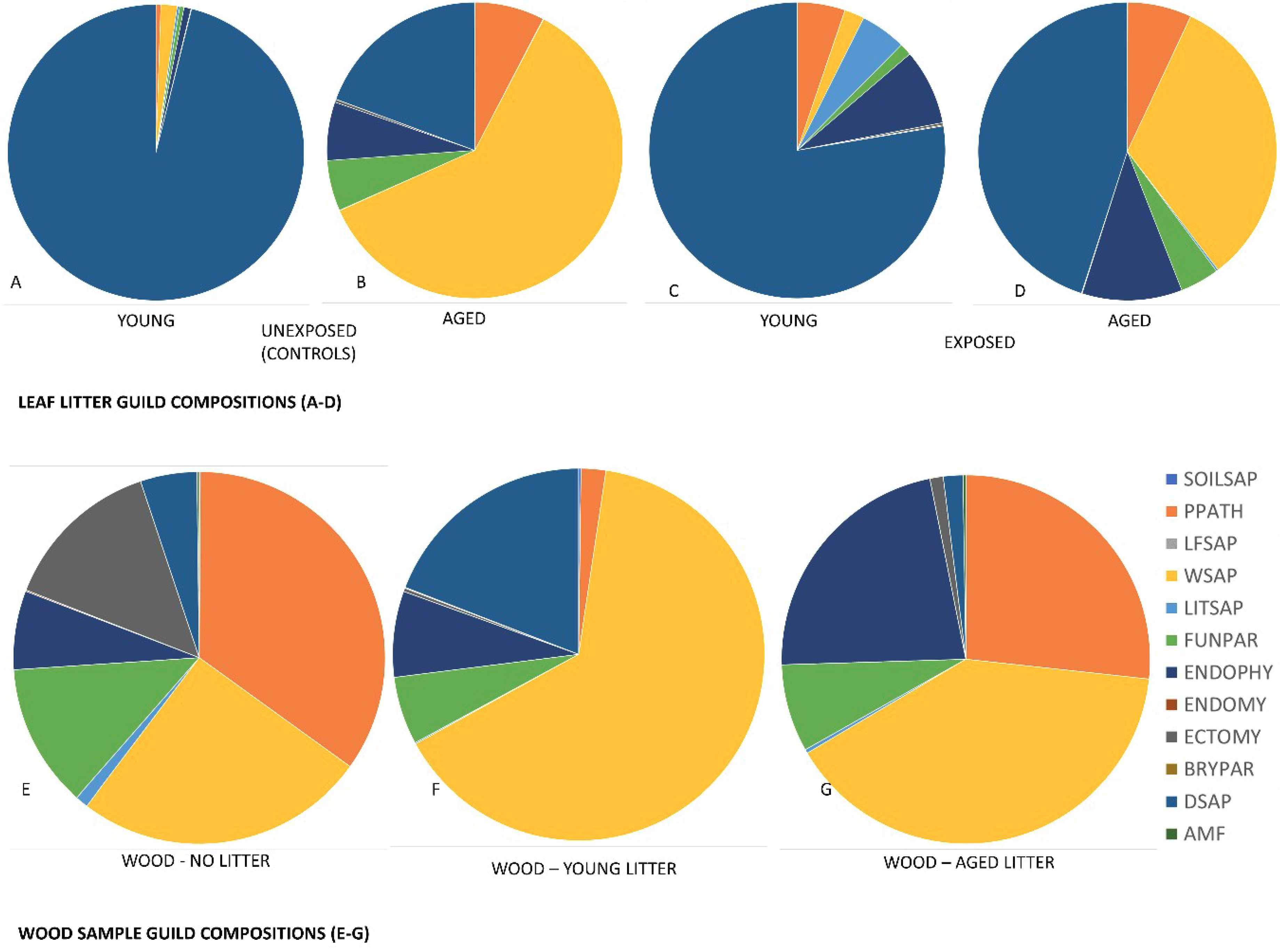 Microorganisms 08 00696 g006
