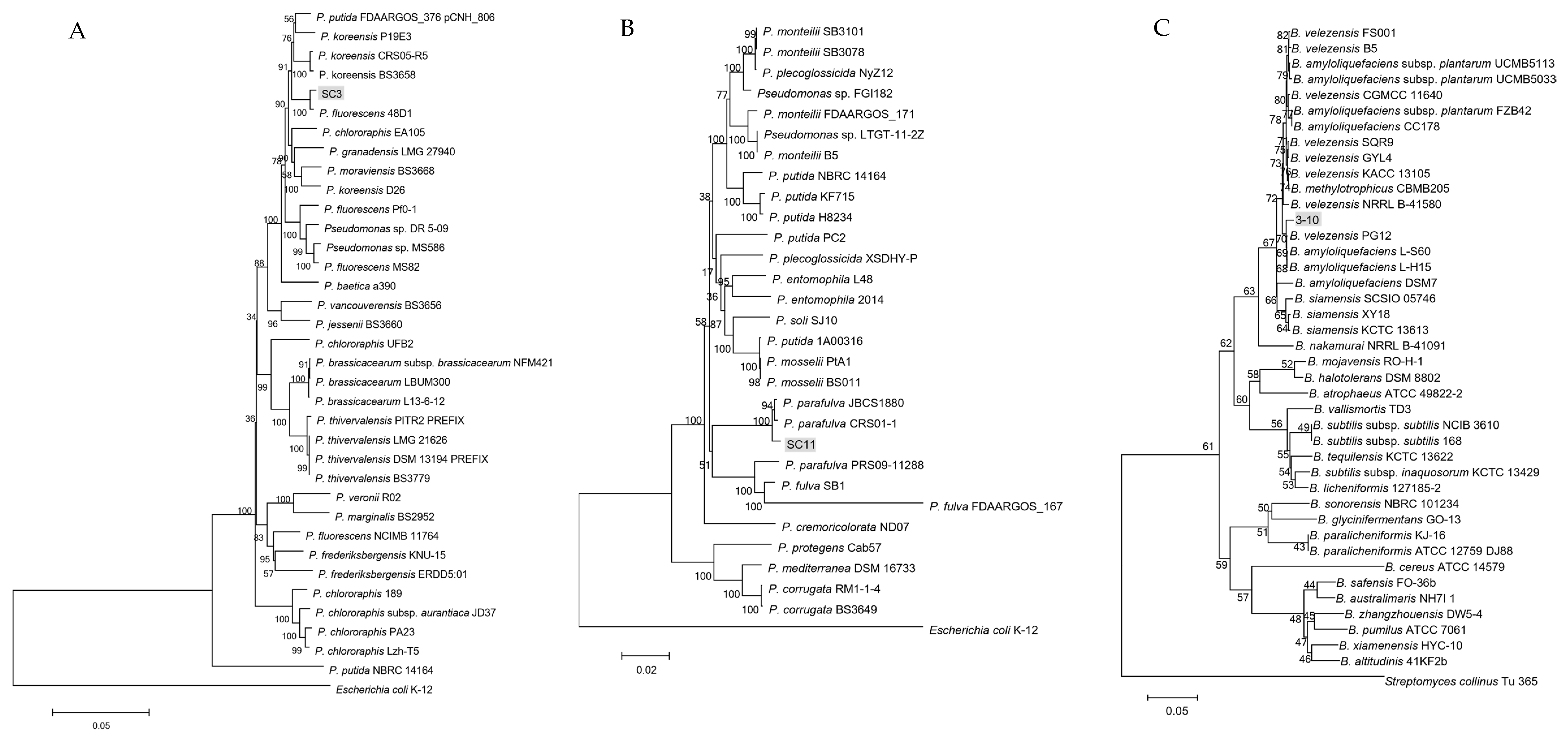 Microorganisms 08 00697 g002