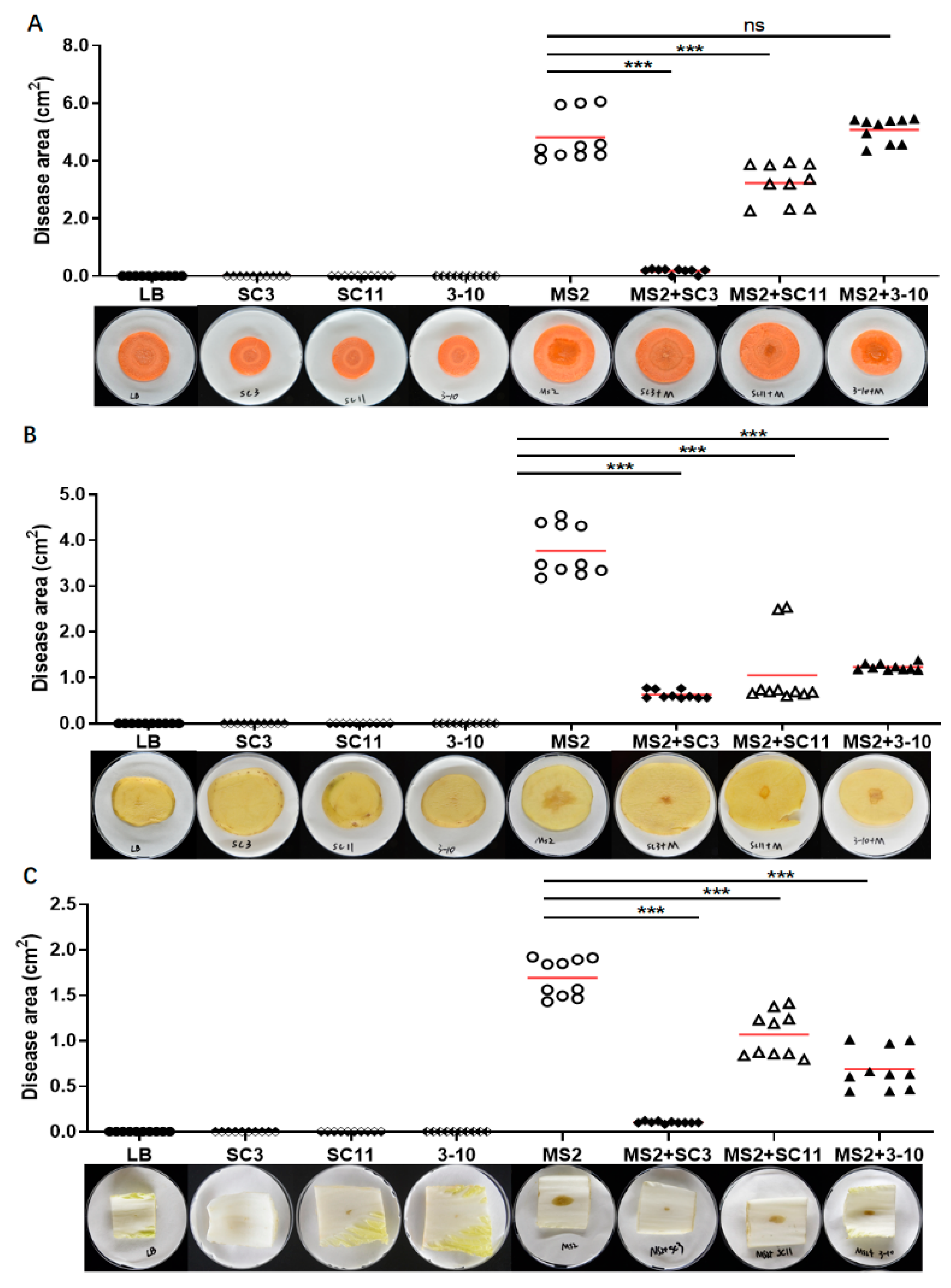 Microorganisms 08 00697 g003