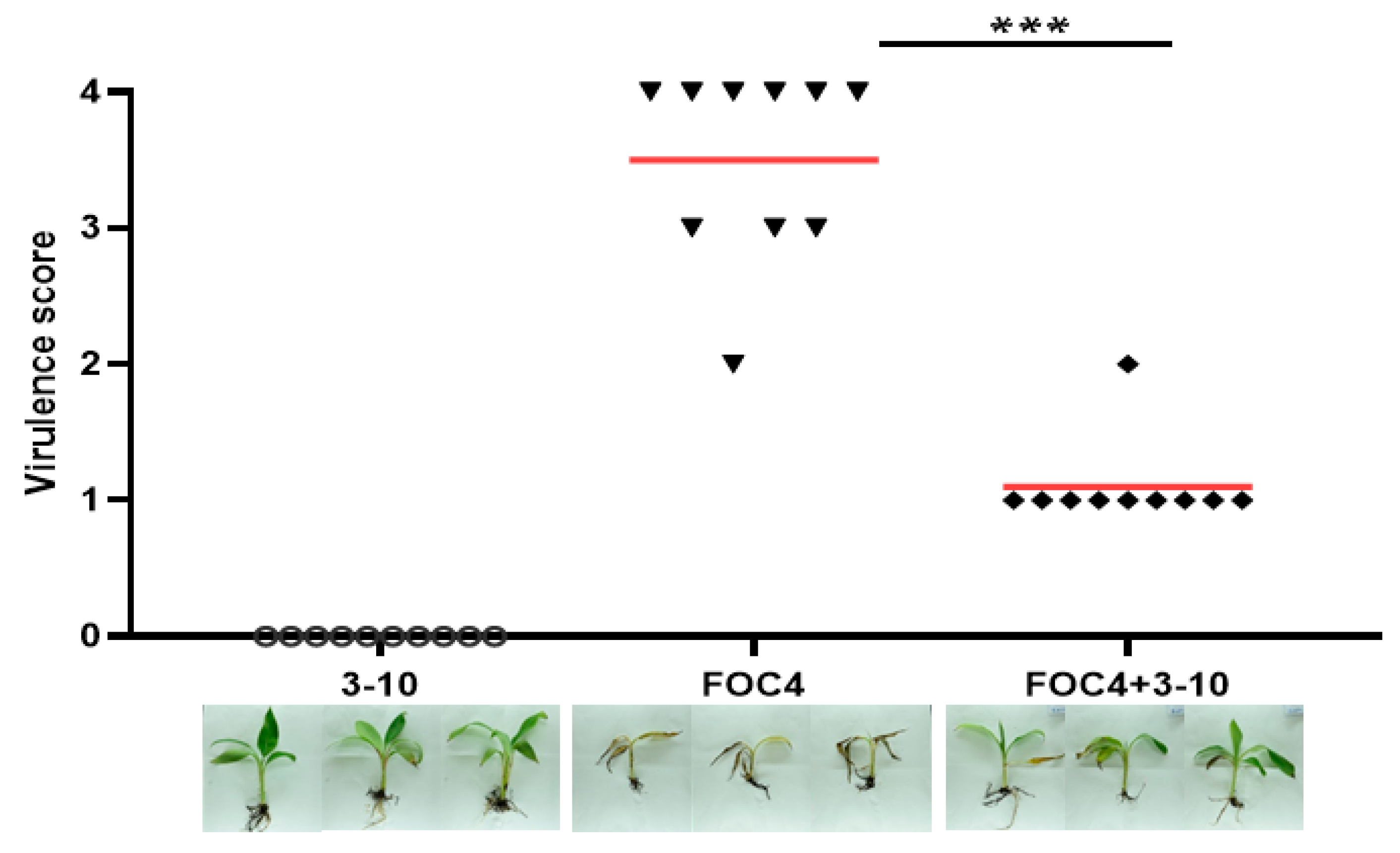 Microorganisms 08 00697 g005
