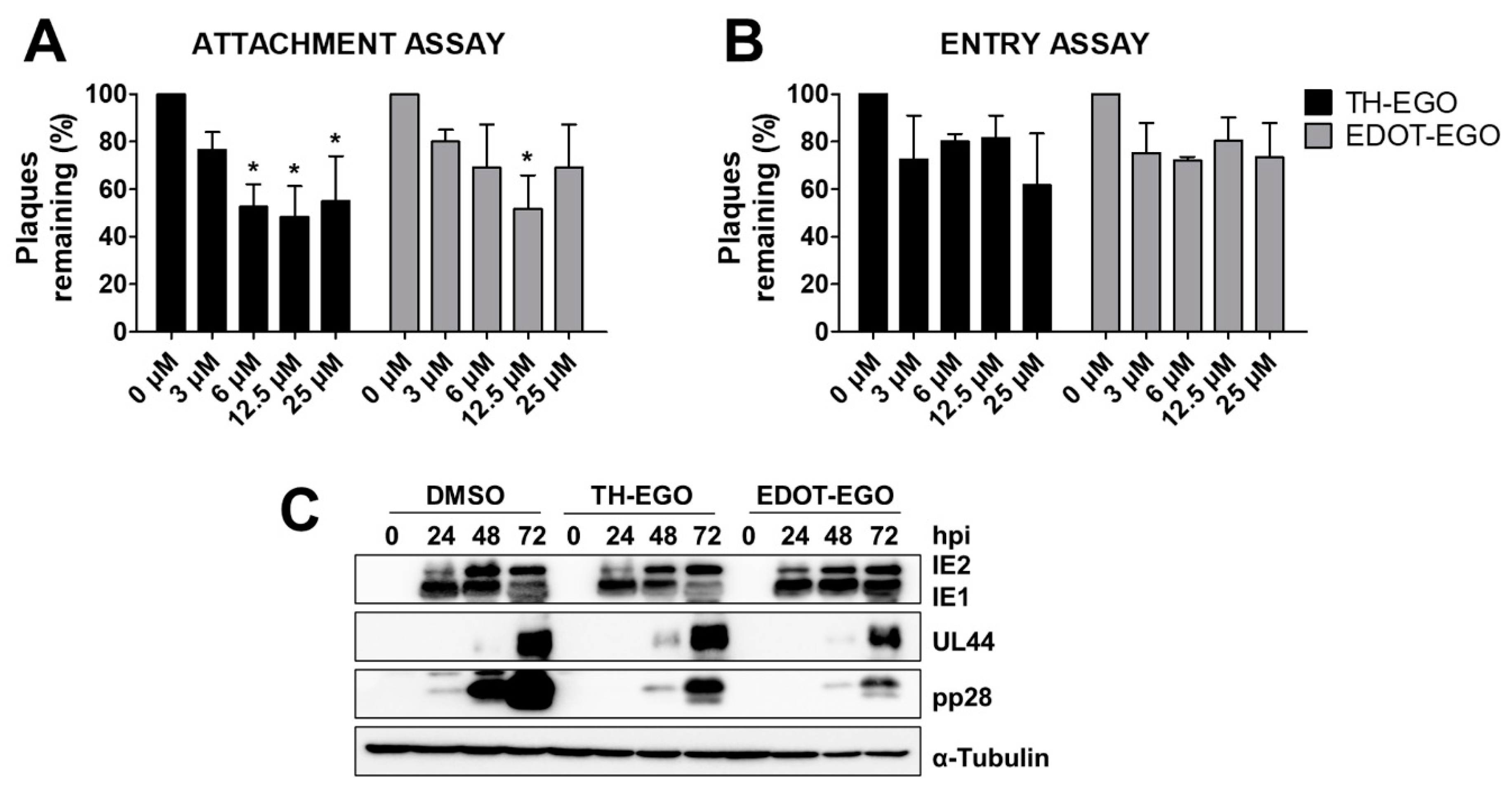 Microorganisms 08 00703 g003