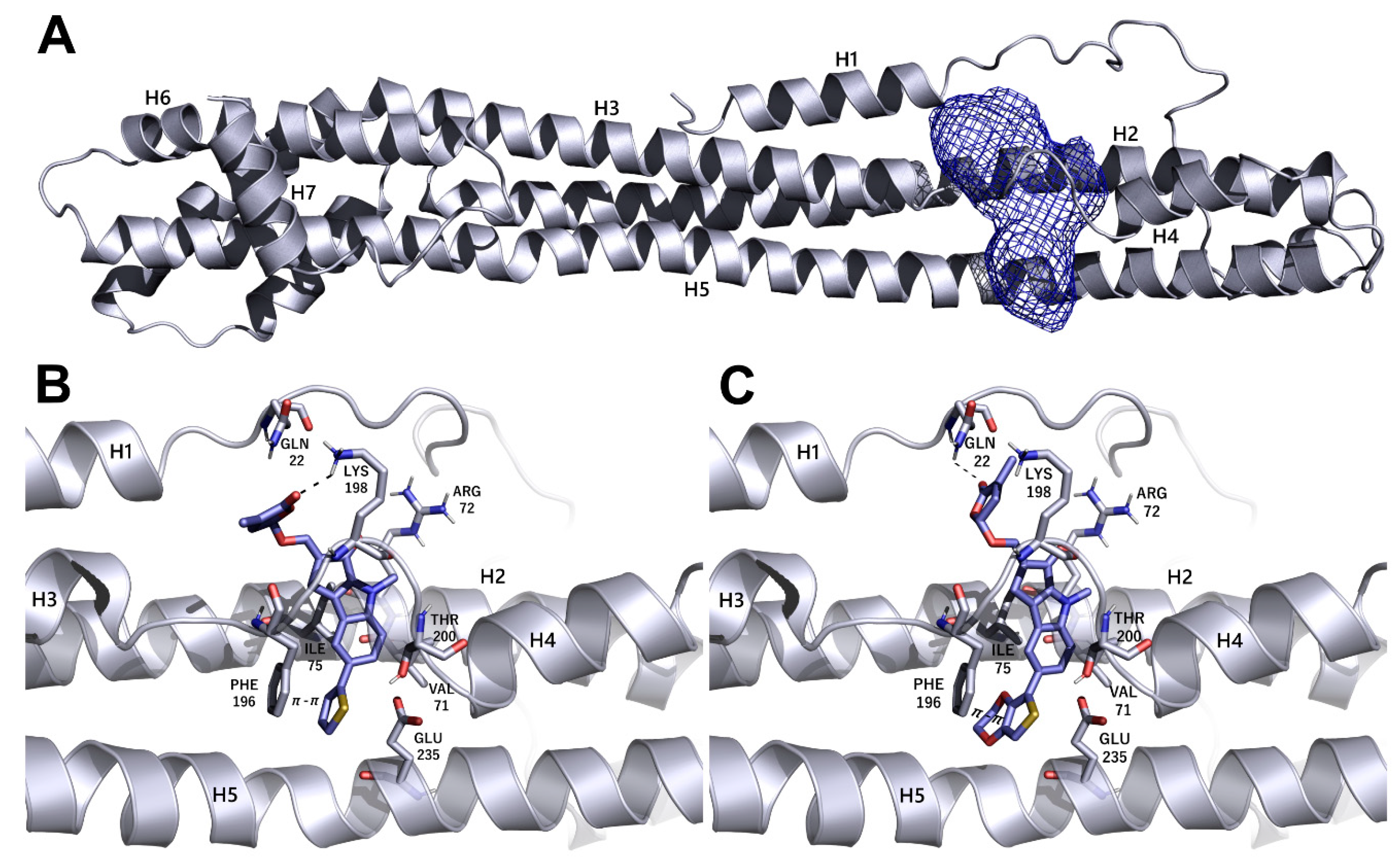 Microorganisms 08 00703 g005
