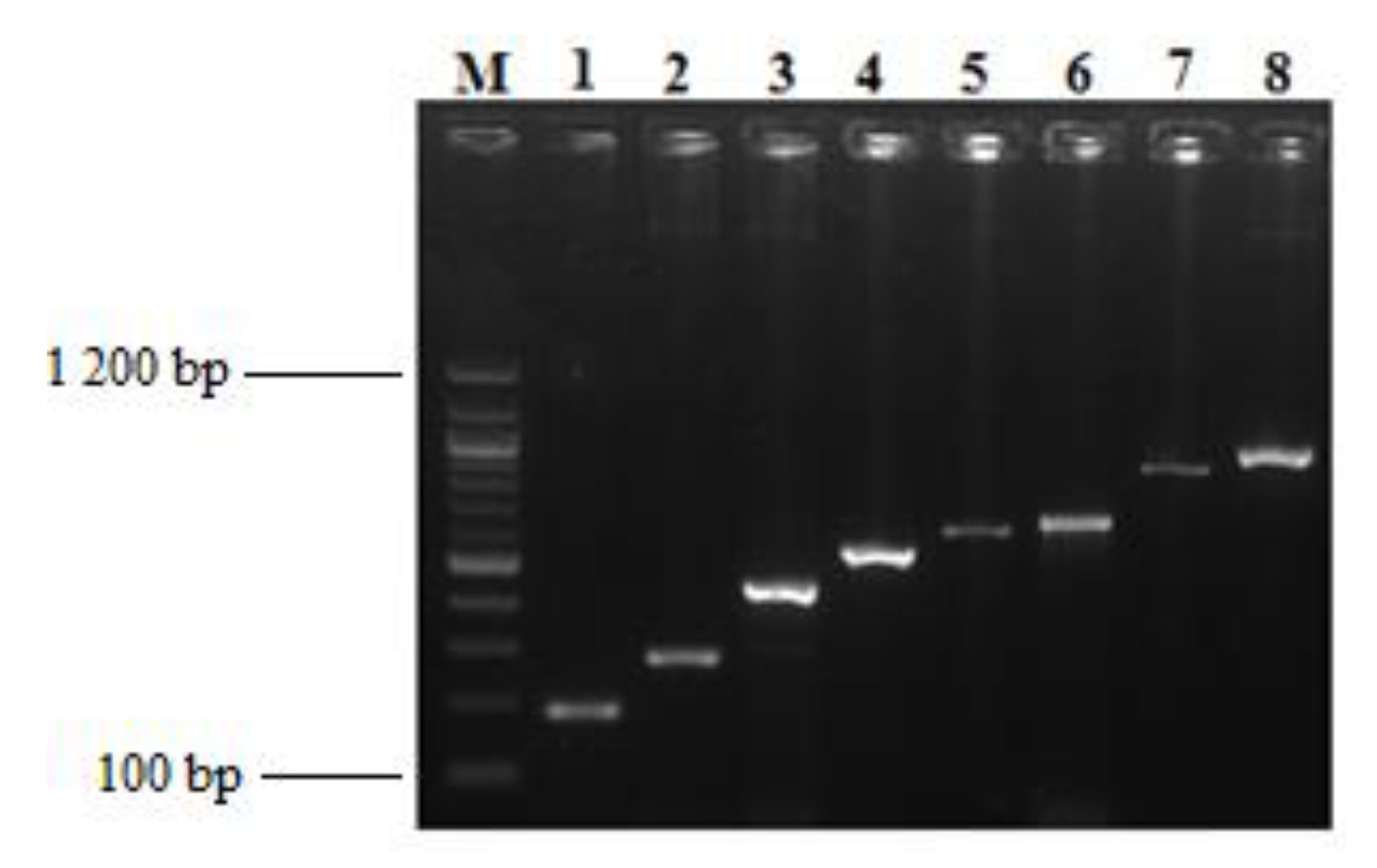 Microorganisms 08 00708 g008
