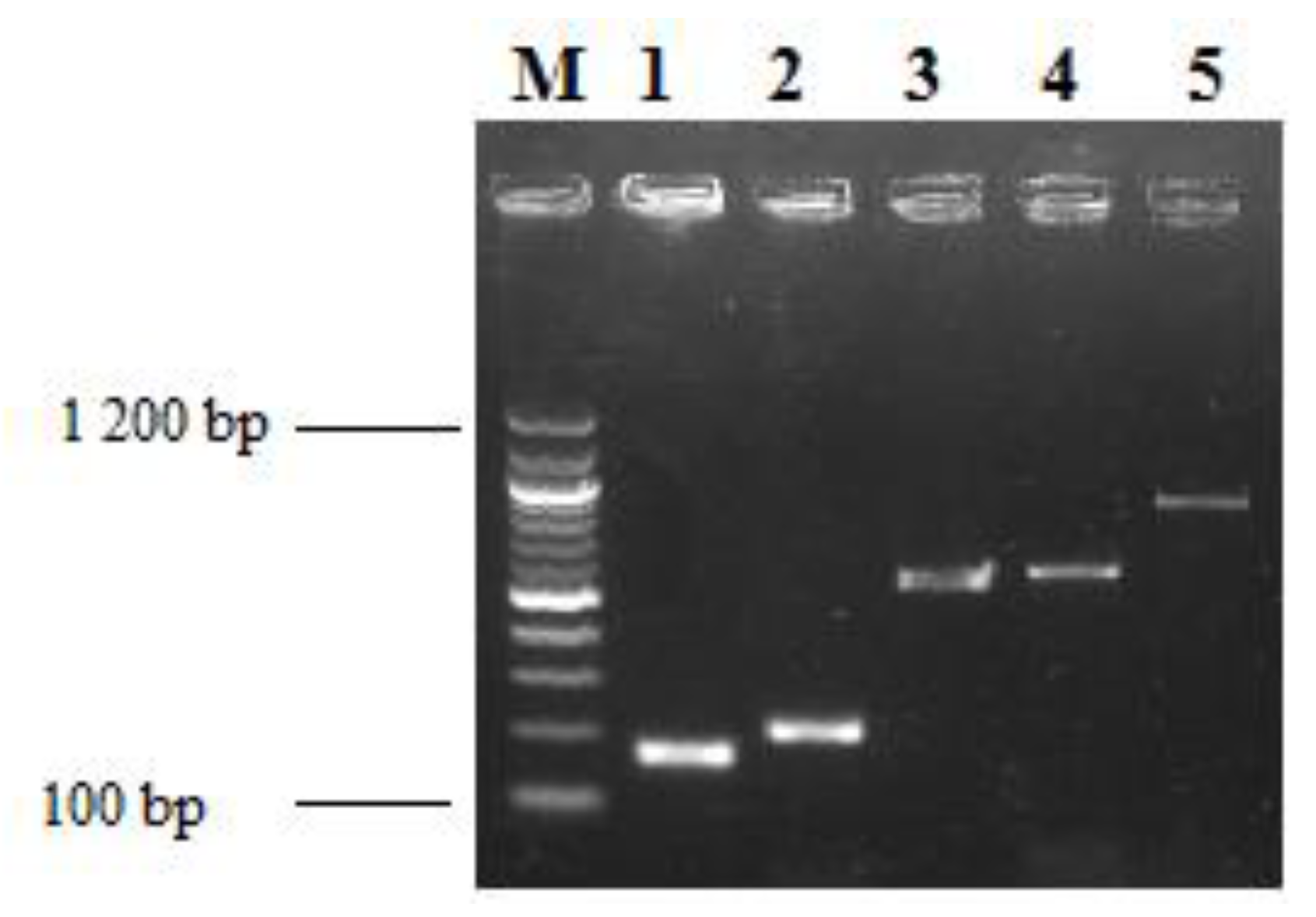 Microorganisms 08 00708 g009