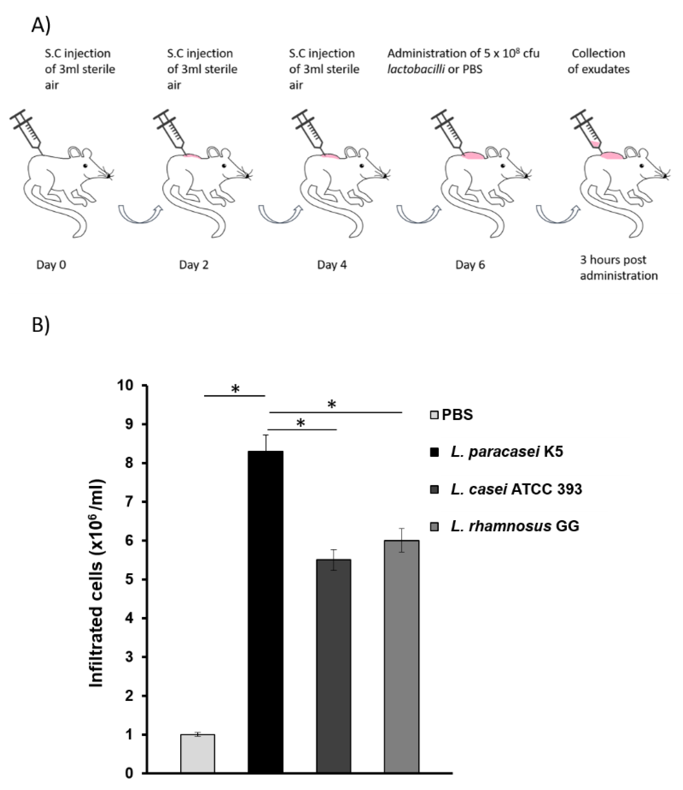 Microorganisms 08 00709 g001