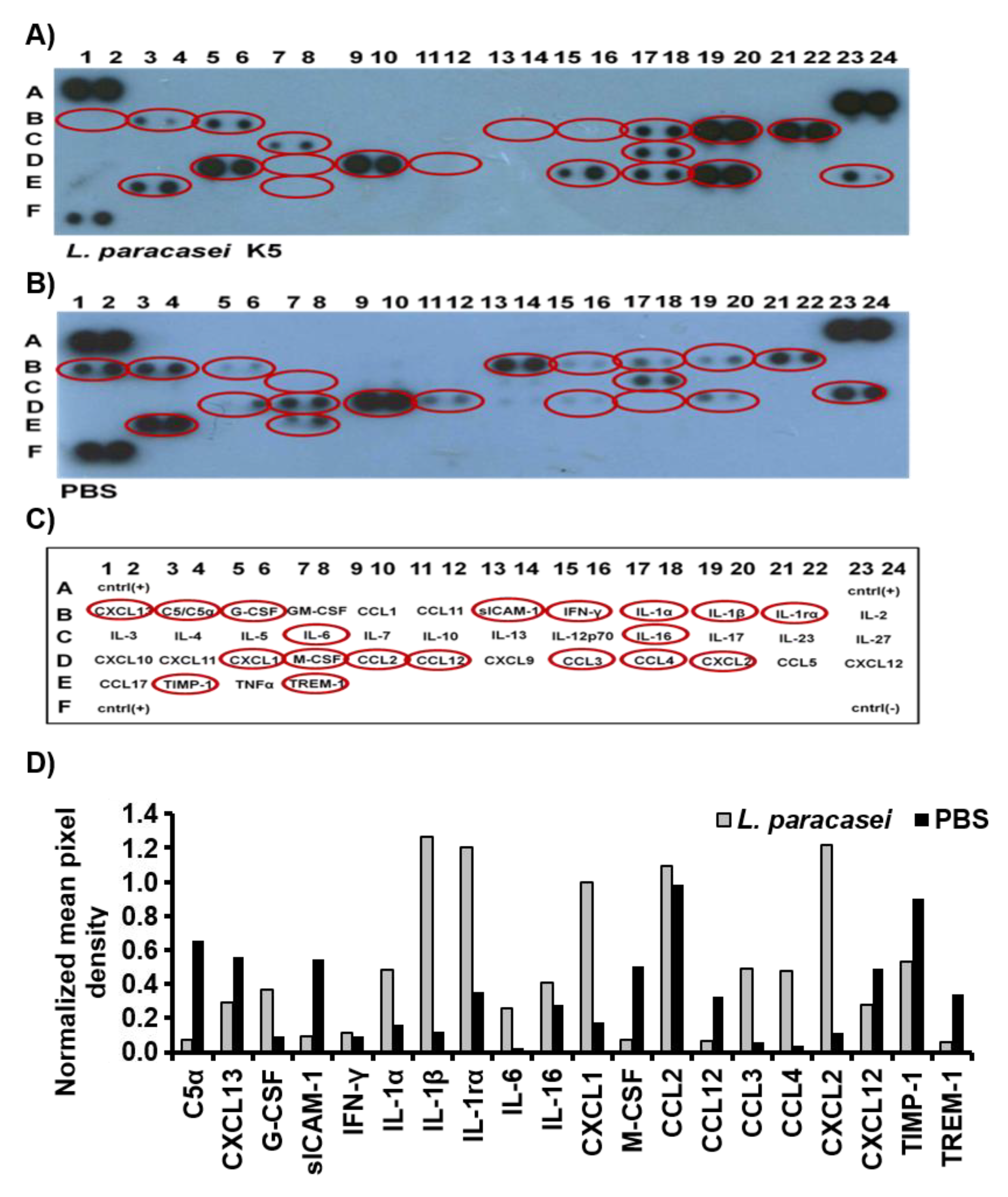 Microorganisms 08 00709 g002