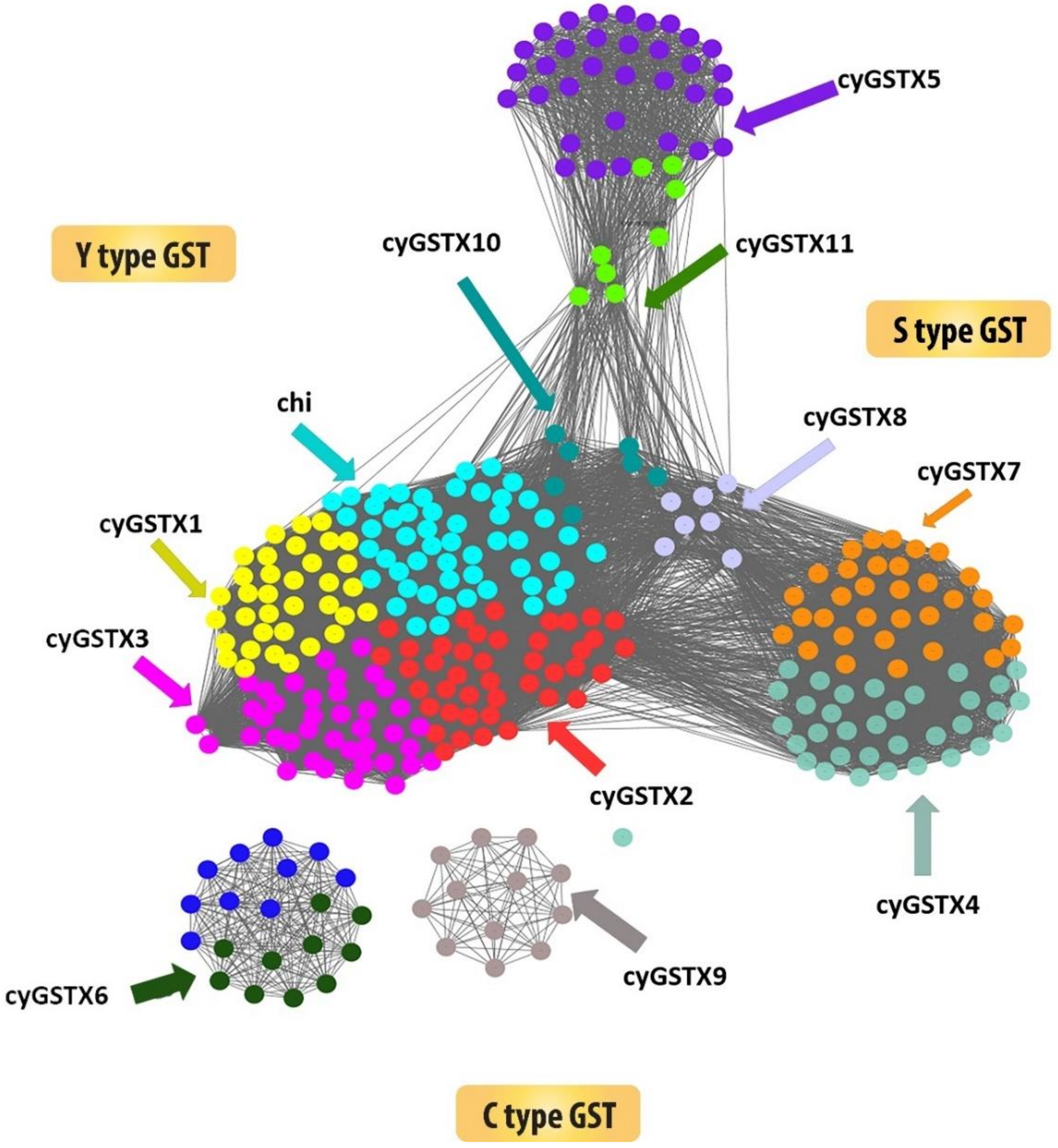 Microorganisms 08 00712 g002