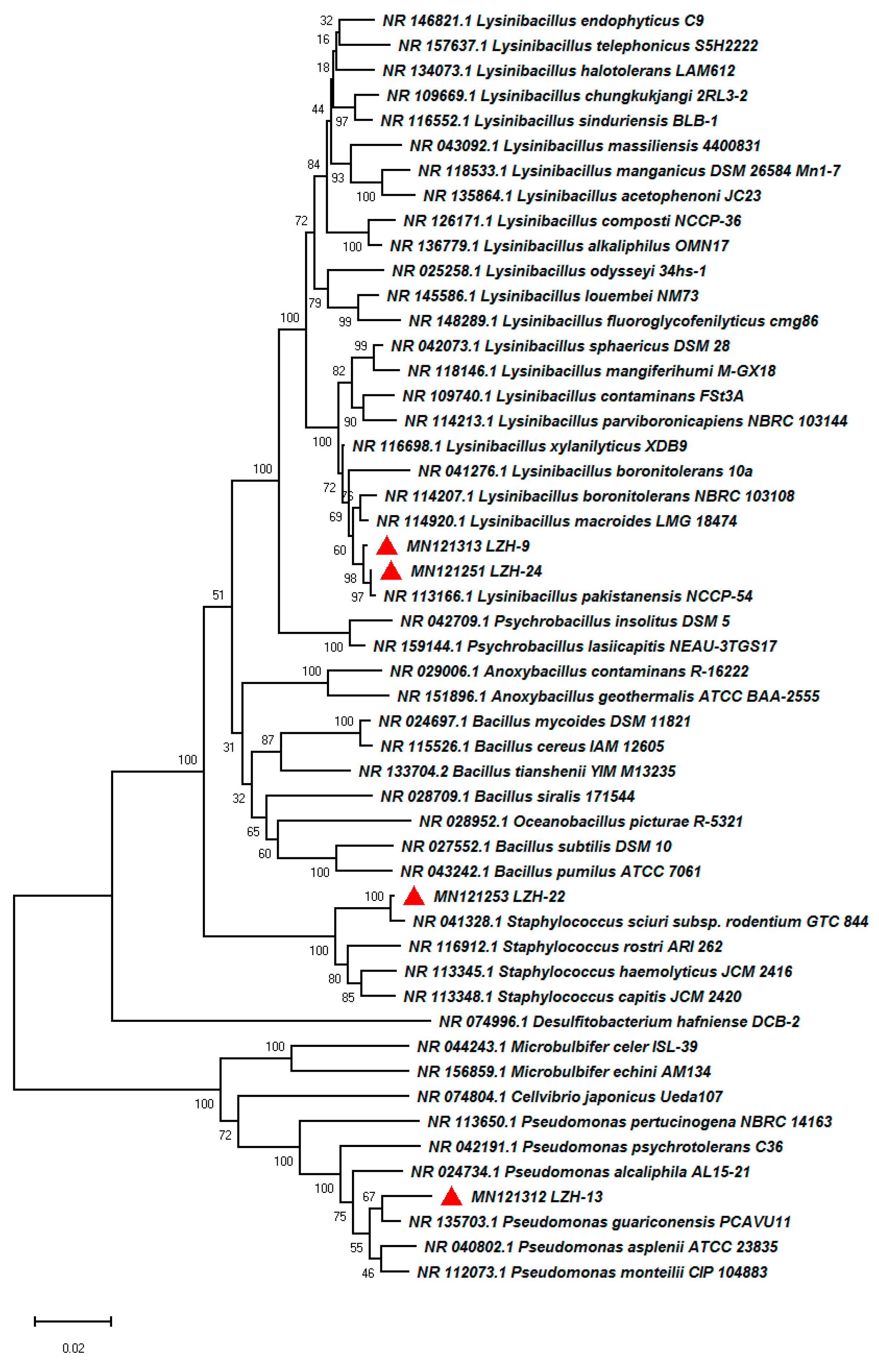 Microorganisms 08 00716 g001
