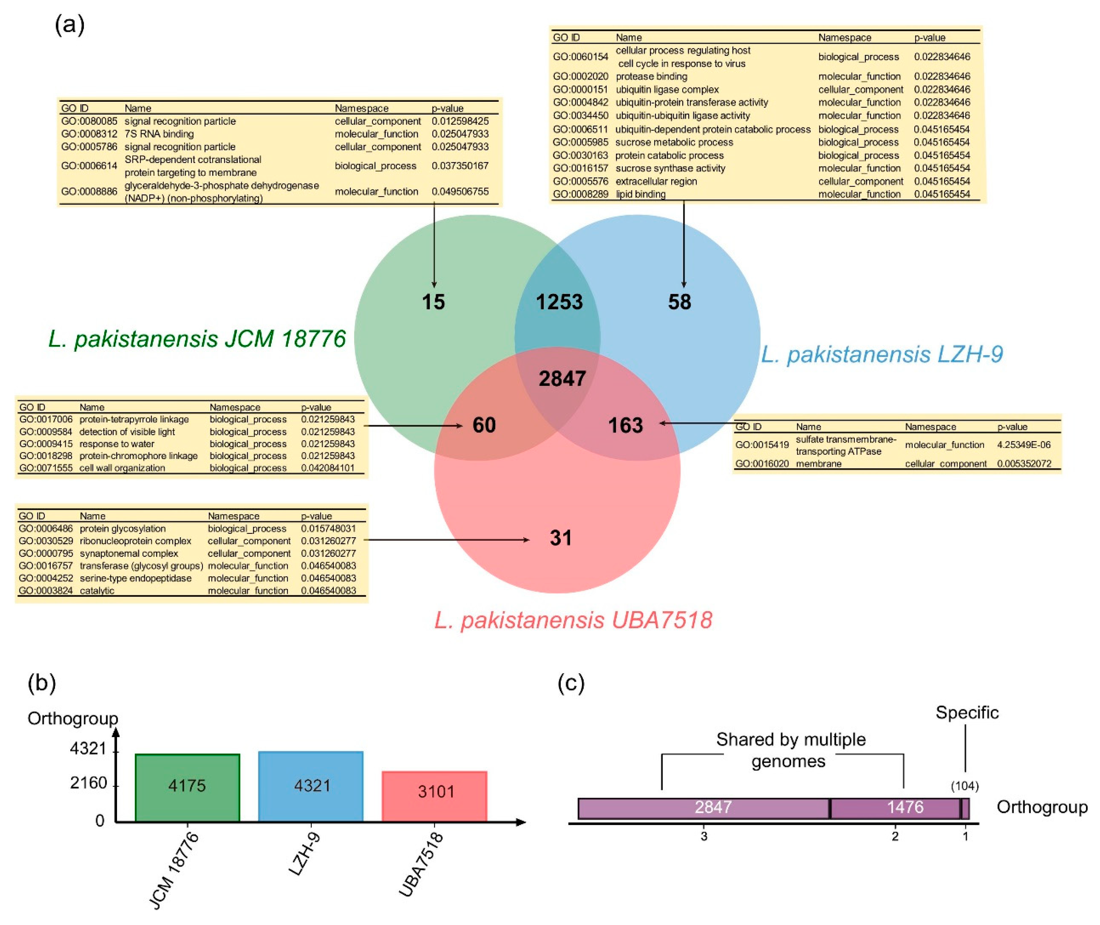 Microorganisms 08 00716 g004