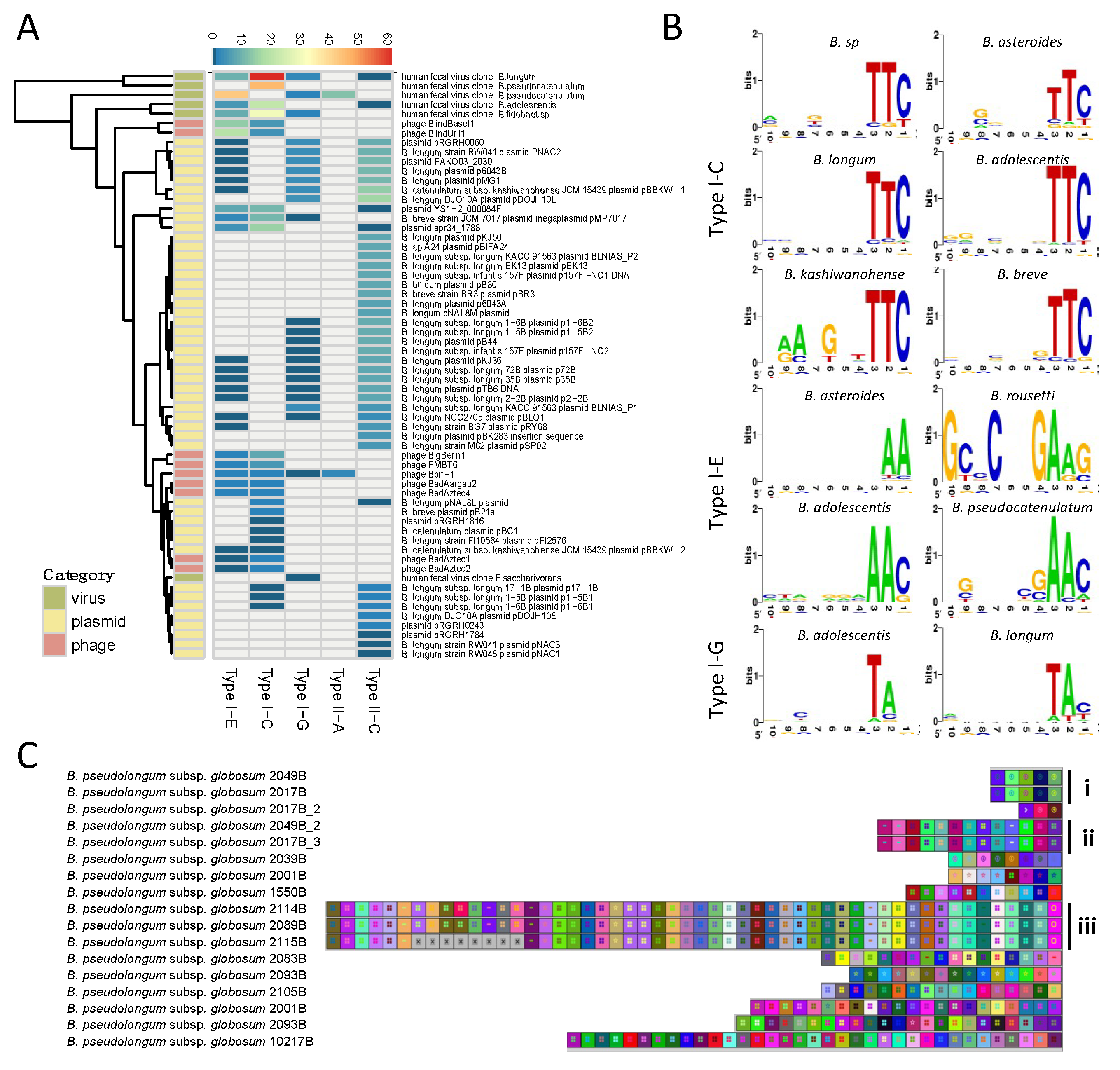 Microorganisms 08 00720 g006