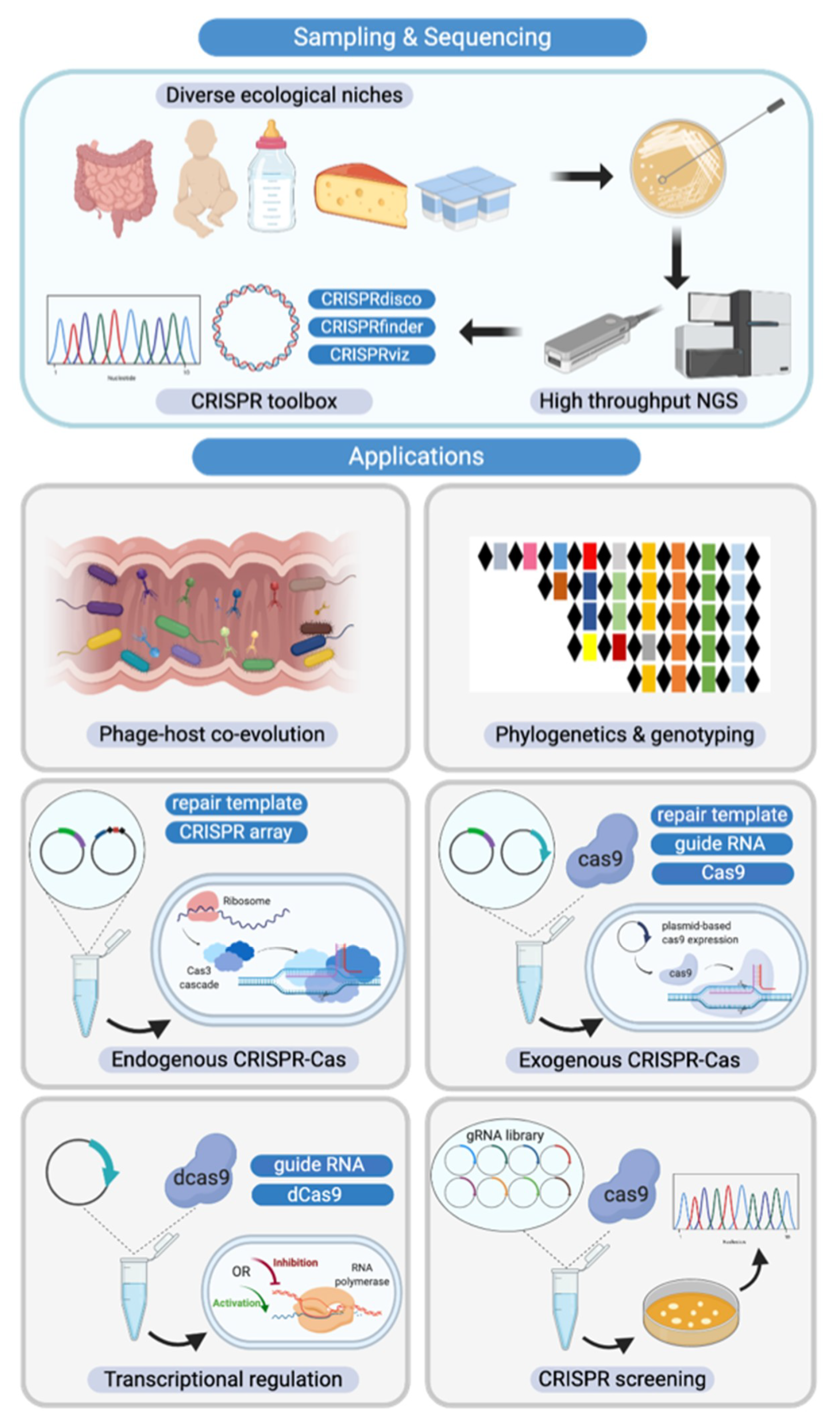 Microorganisms 08 00720 g007
