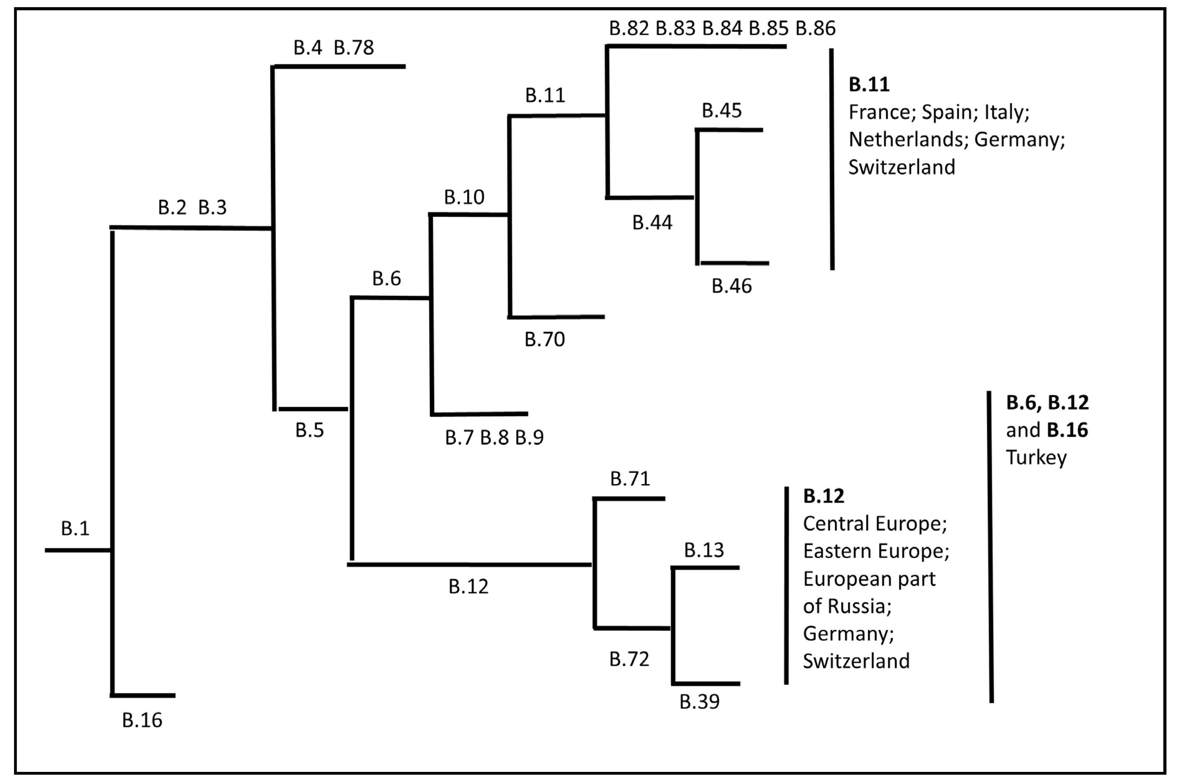 Microorganisms 08 00721 g001