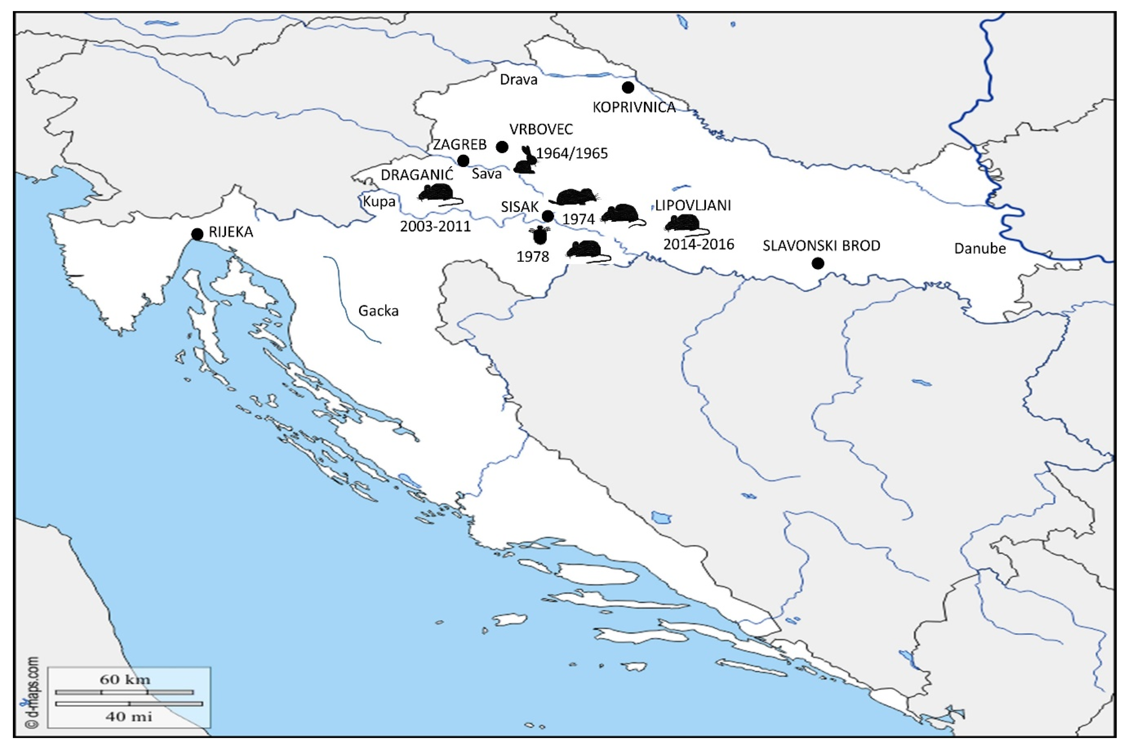 Microorganisms 08 00721 g003