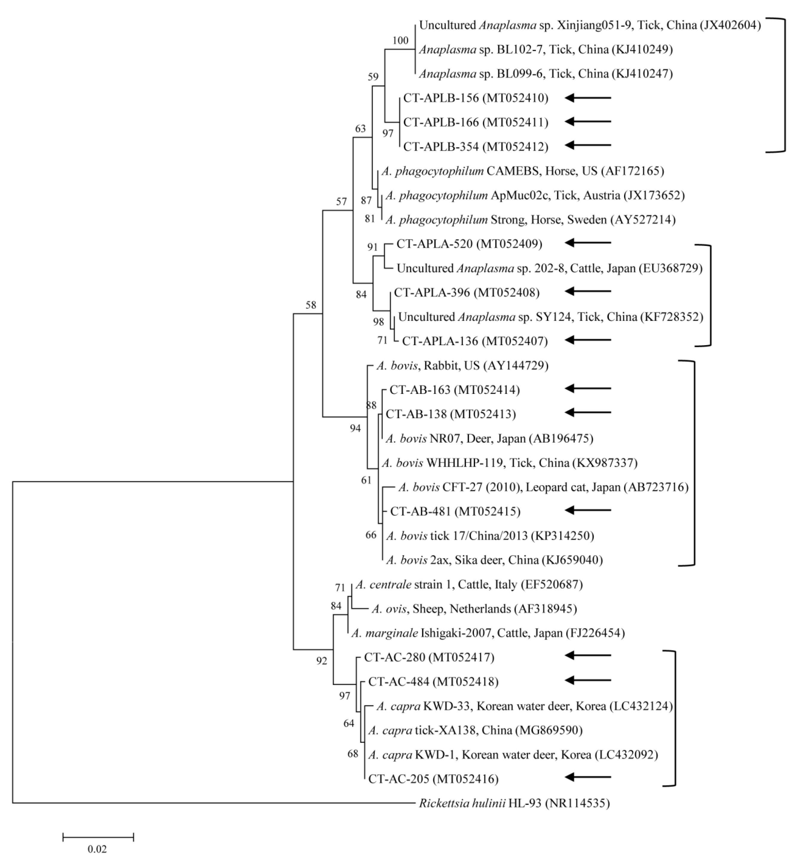 Microorganisms 08 00728 g004 Microorganisms 08 00728 g004