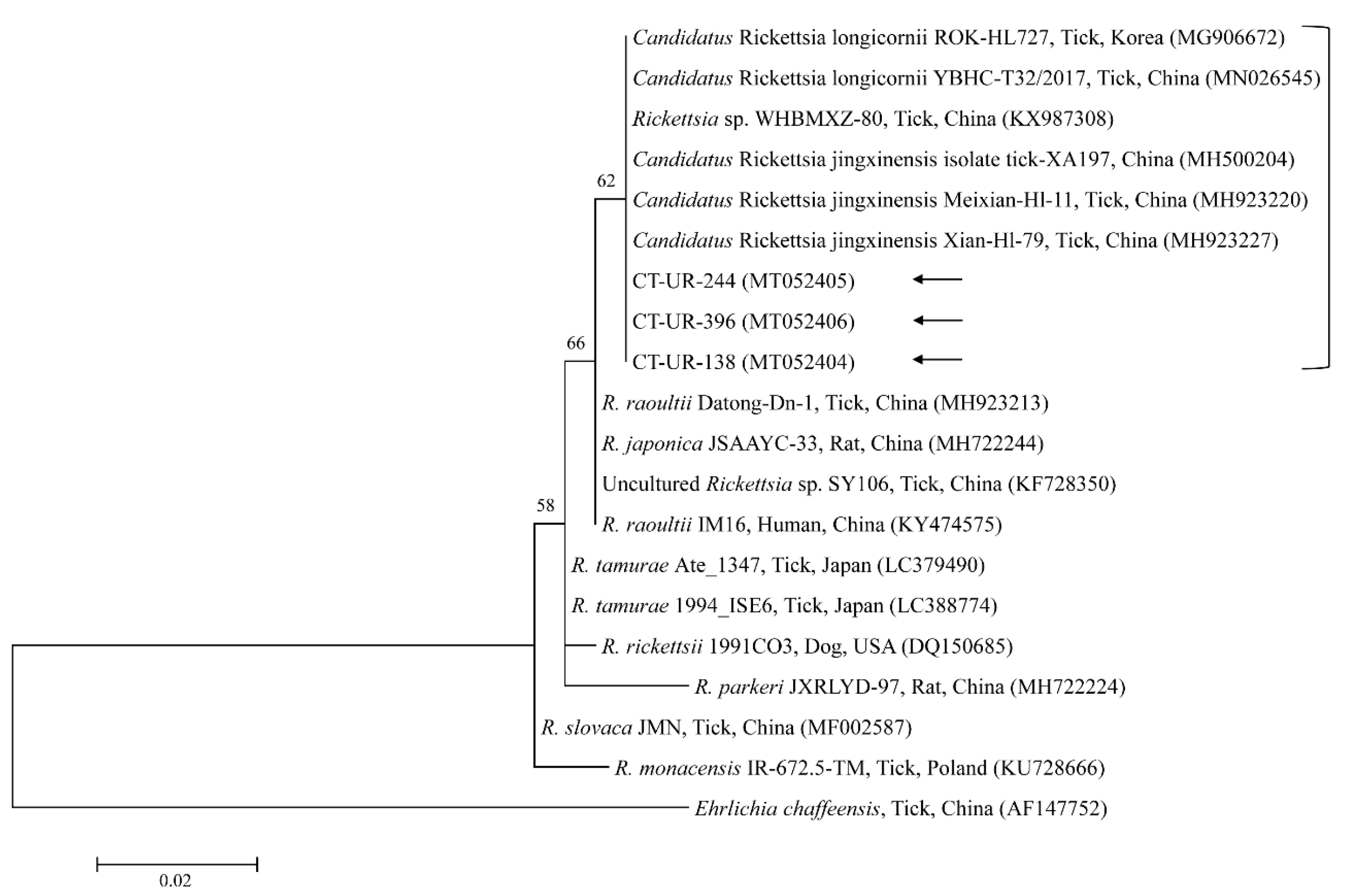 Microorganisms 08 00728 g006 Microorganisms 08 00728 g006