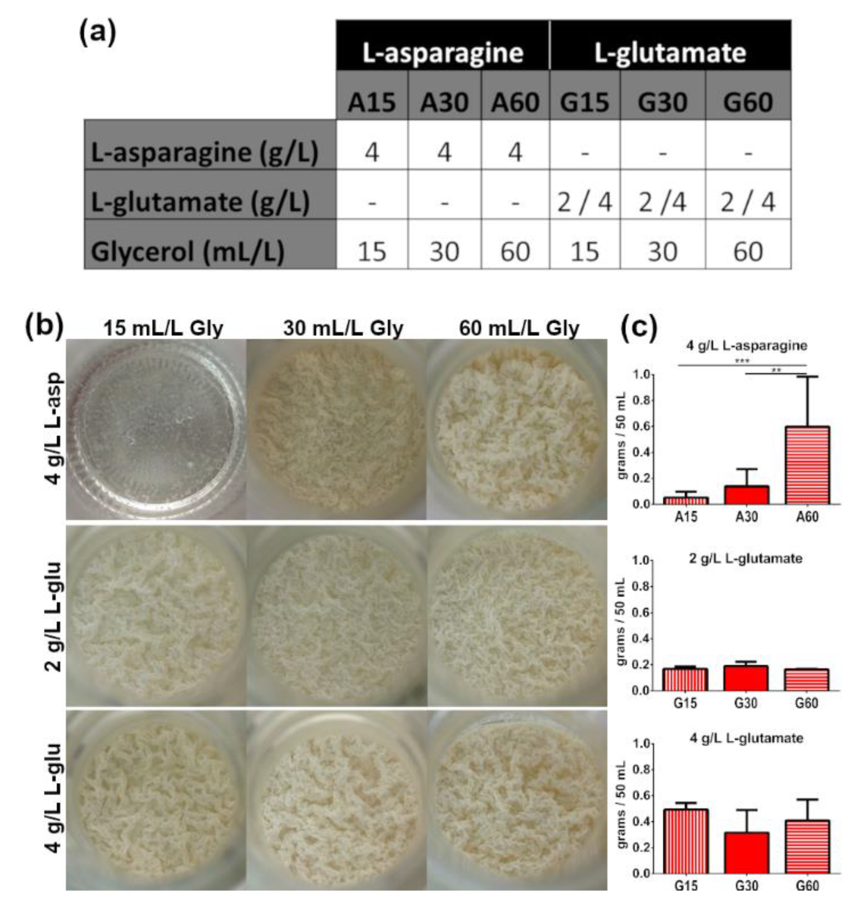 Microorganisms 08 00734 g002 Microorganisms 08 00734 g002
