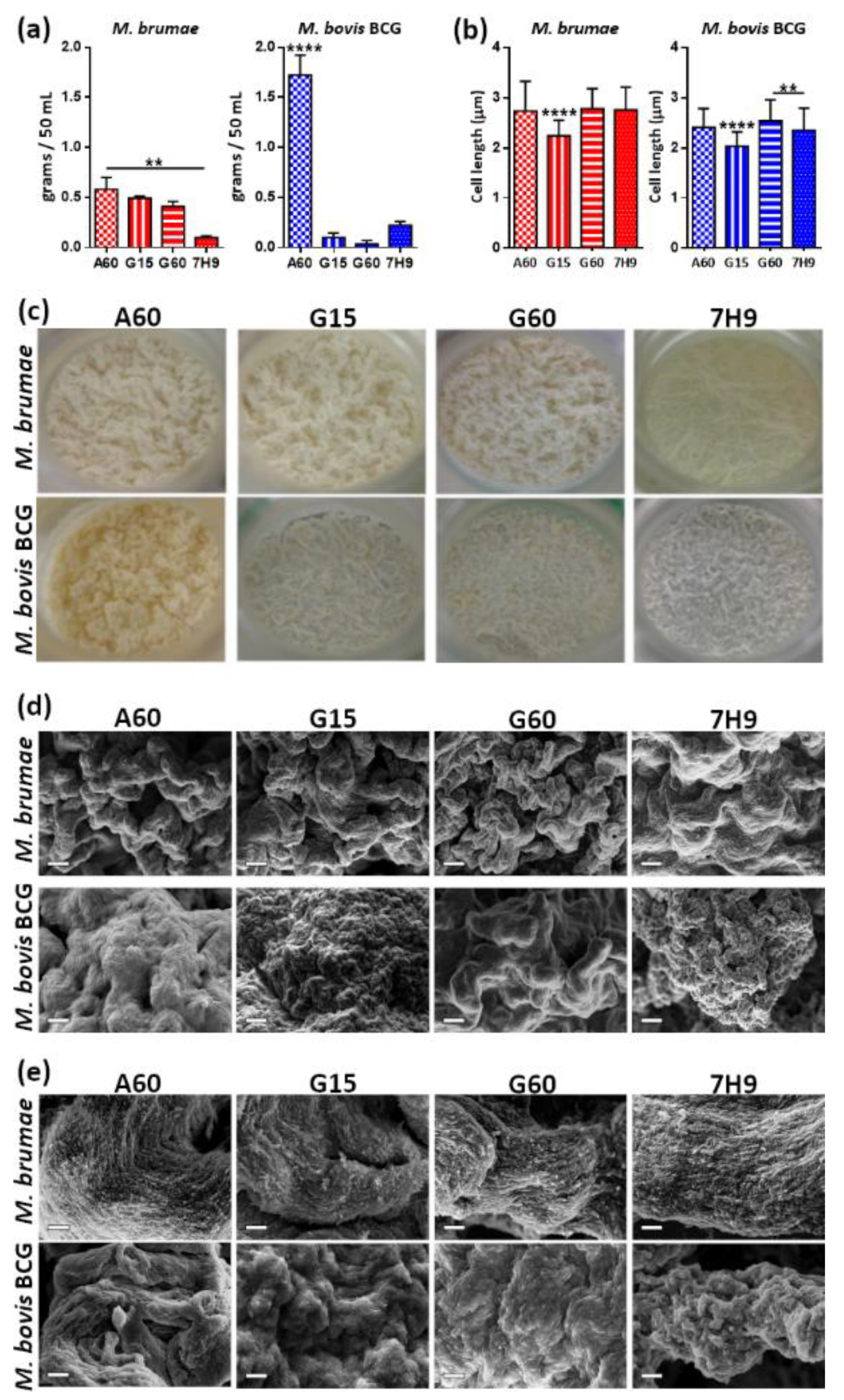 Microorganisms 08 00734 g003 Microorganisms 08 00734 g003