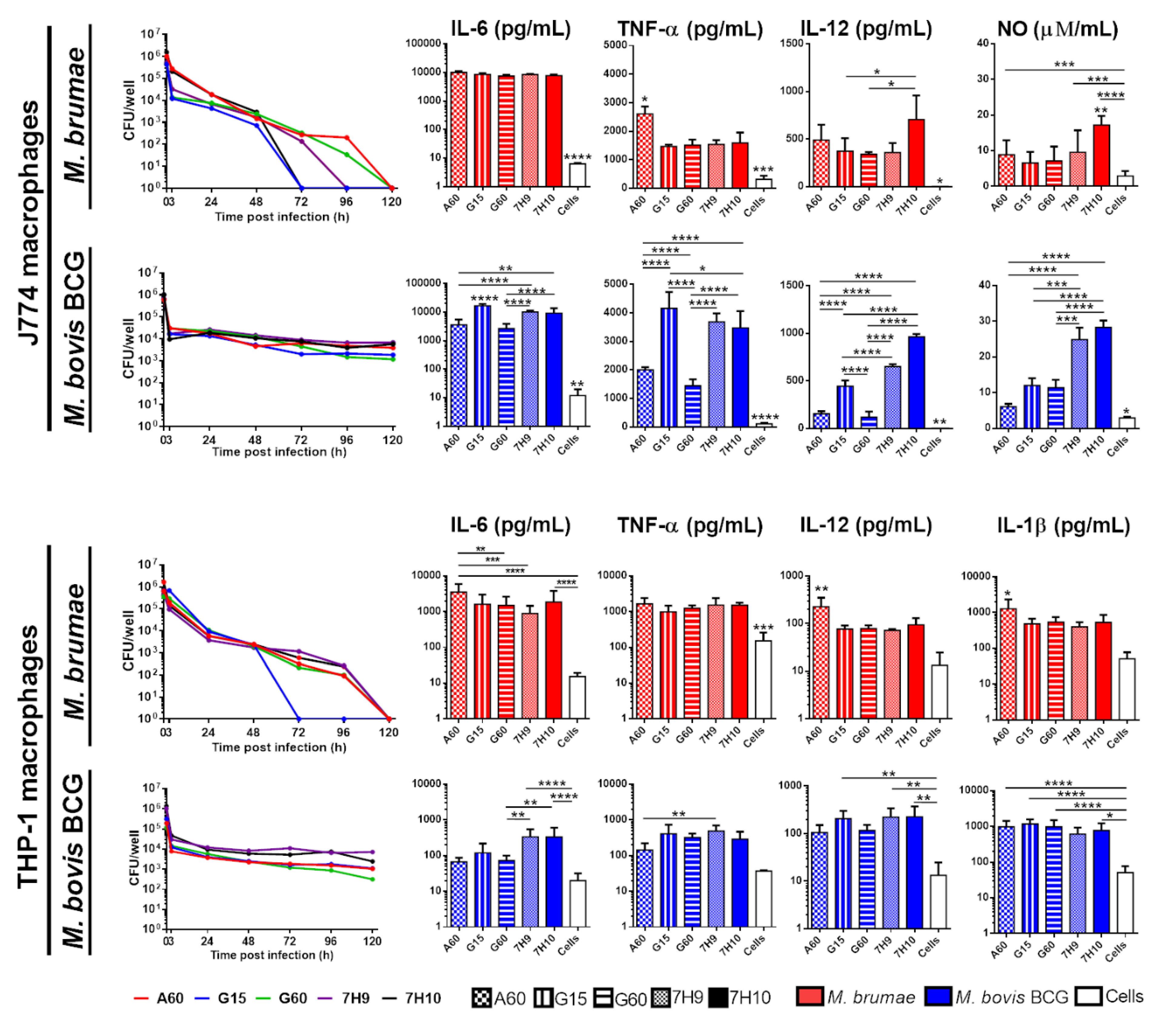 Microorganisms 08 00734 g004 Microorganisms 08 00734 g004