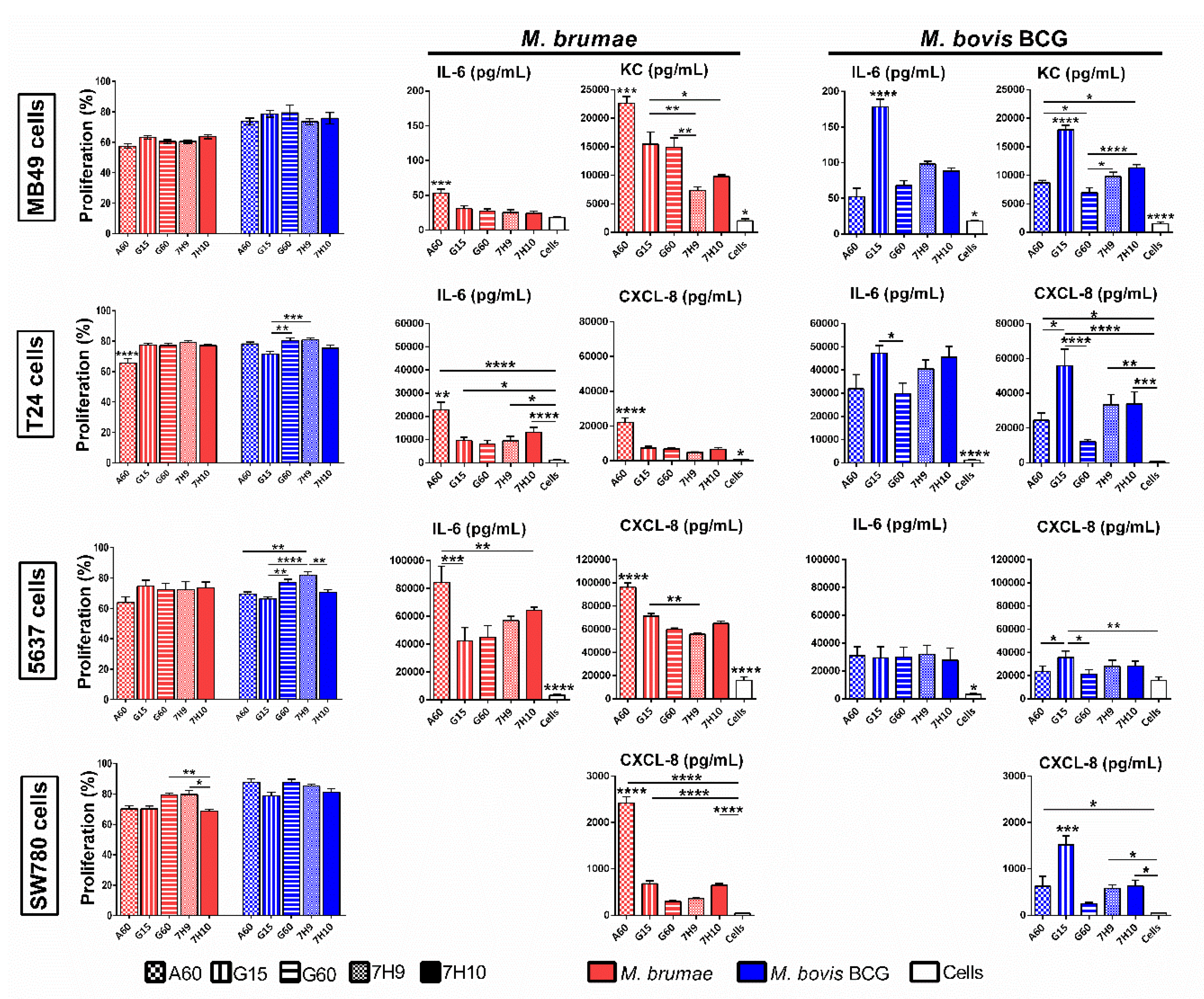 Microorganisms 08 00734 g005 Microorganisms 08 00734 g005
