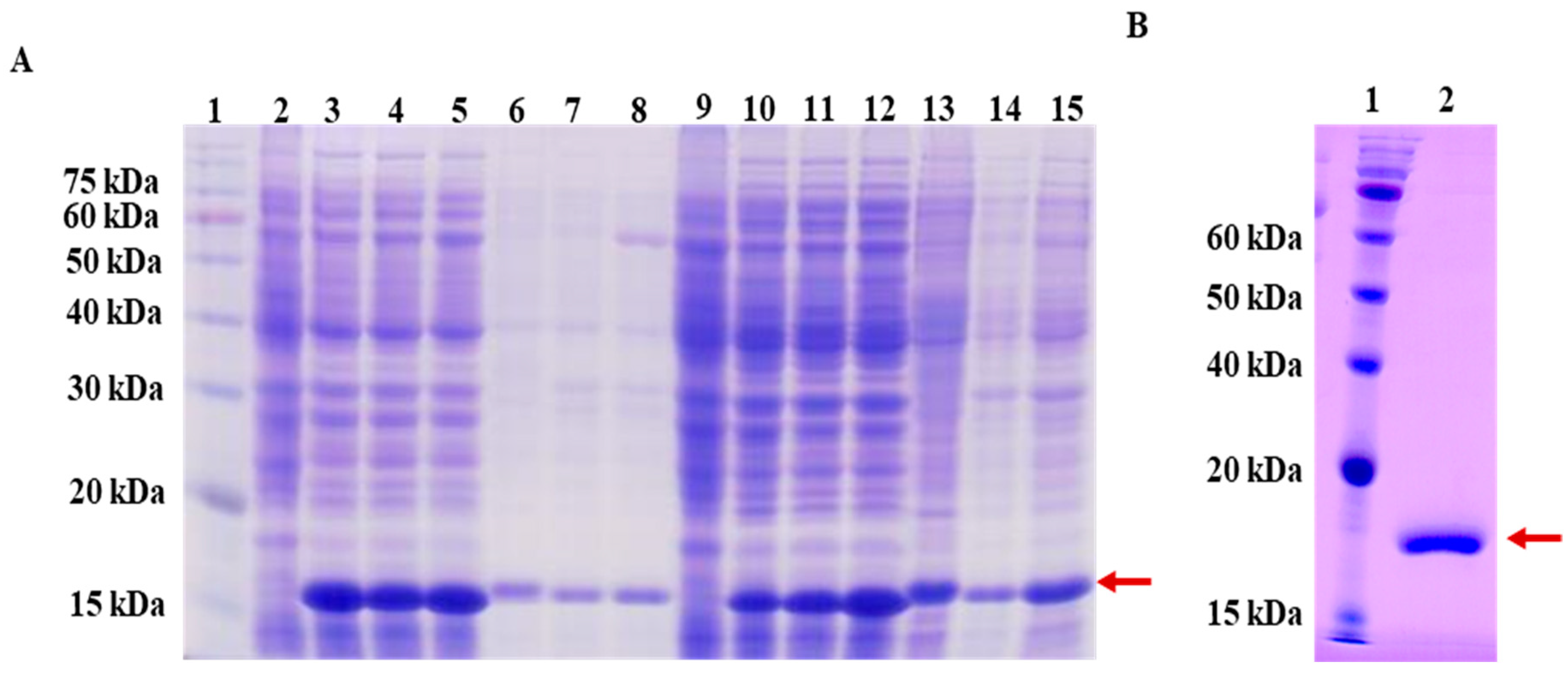Microorganisms 08 00737 g002