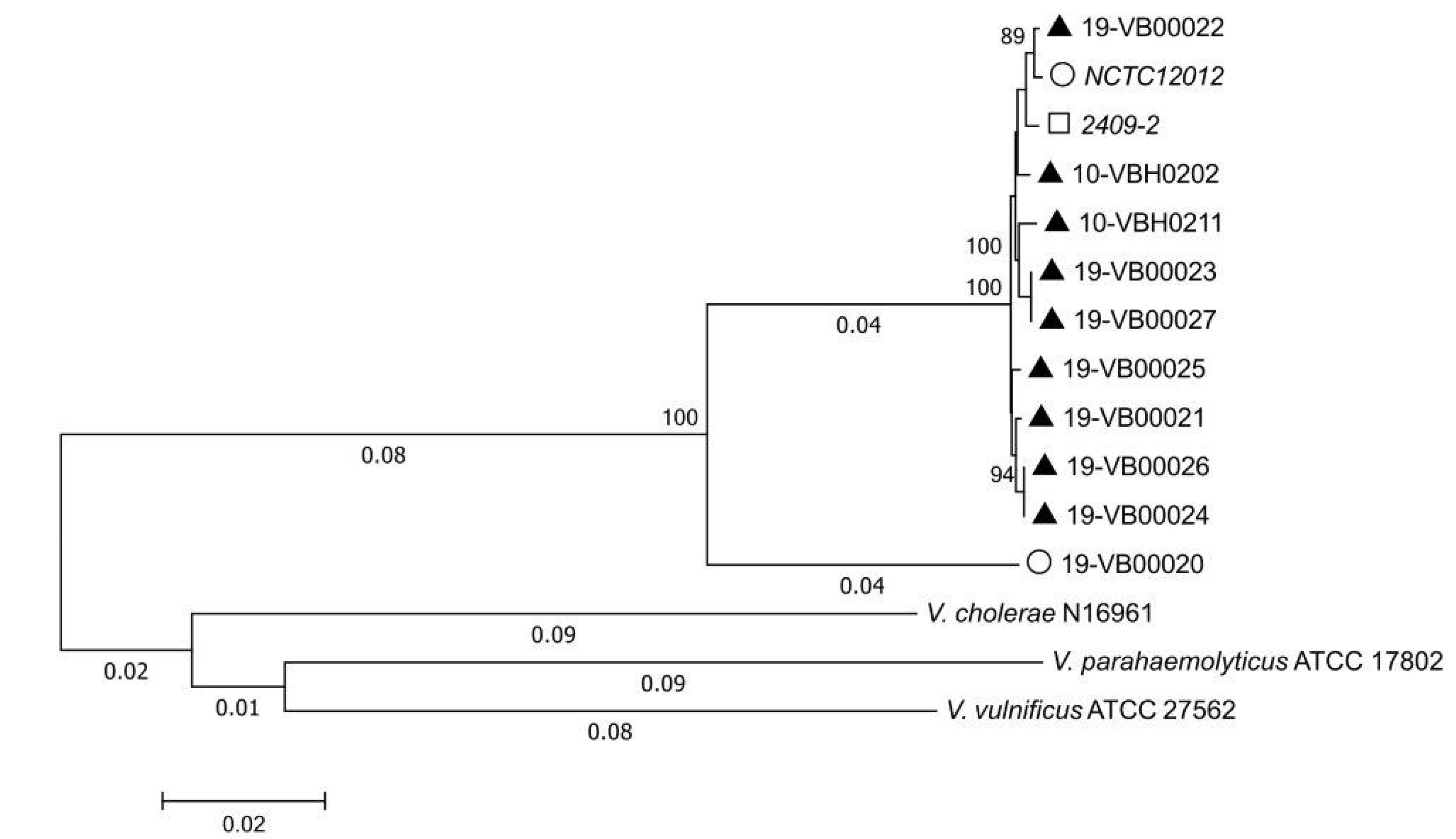 Microorganisms 08 00739 g002