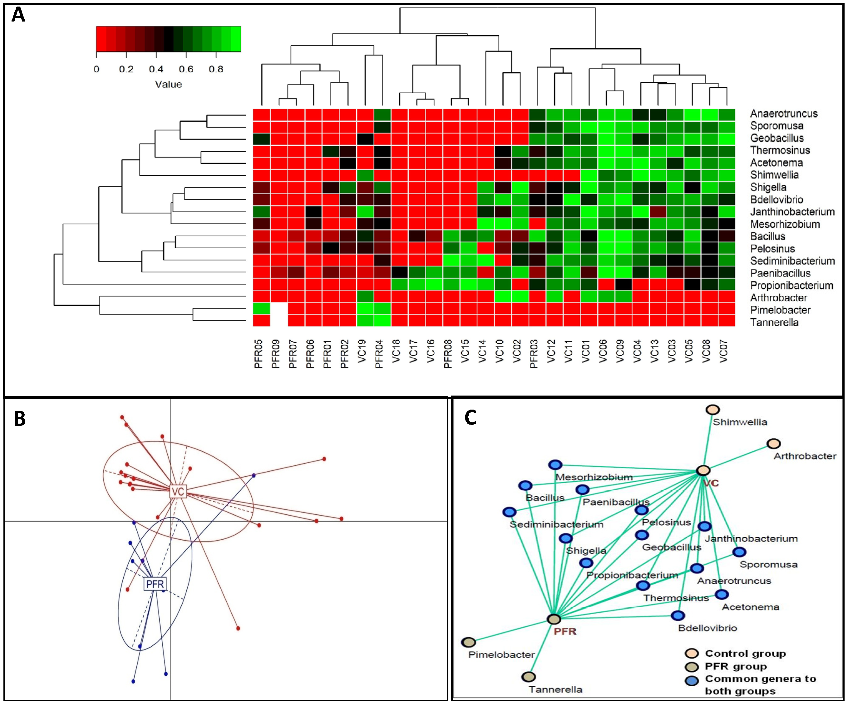 Microorganisms 08 00751 g004