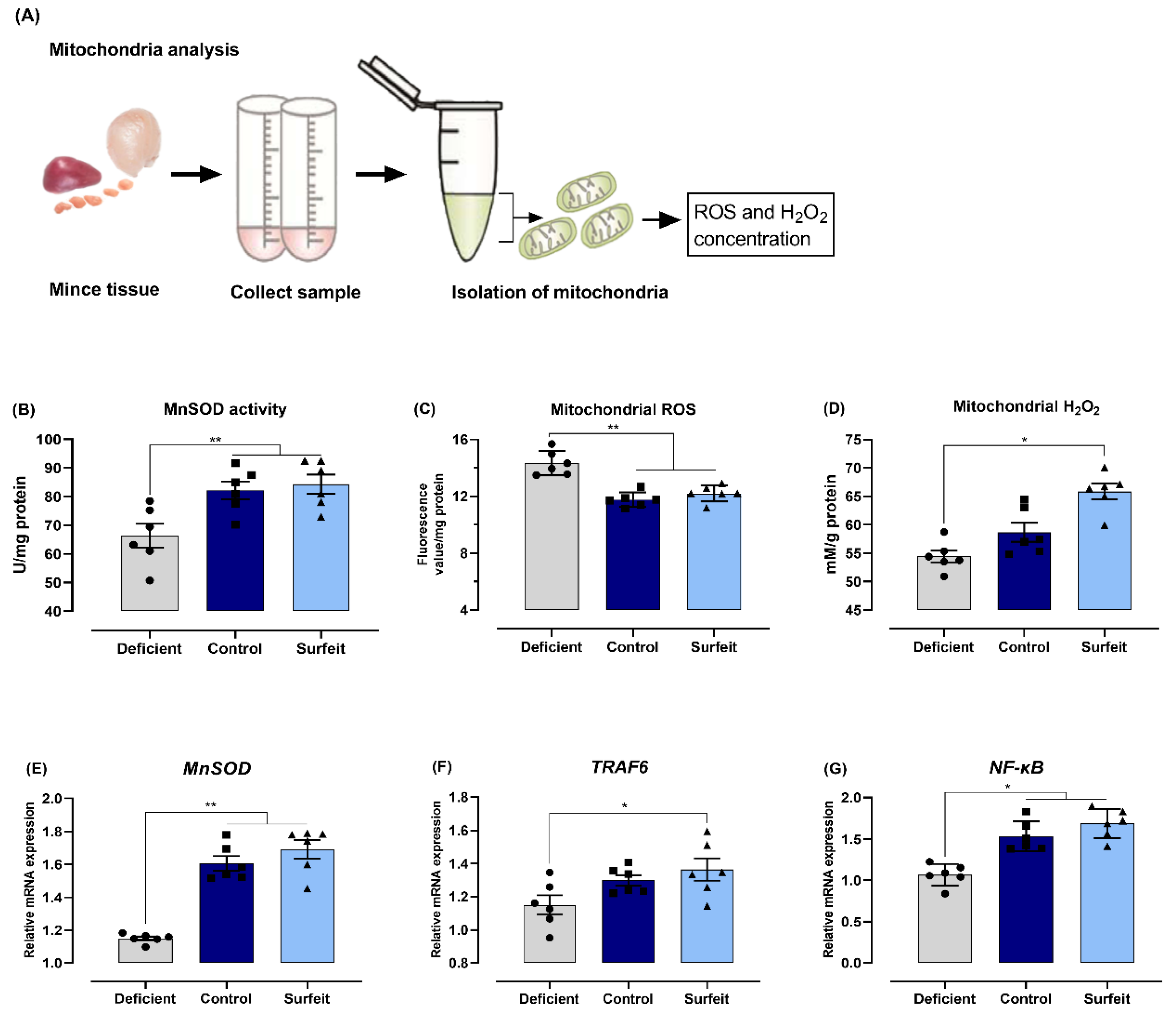 Microorganisms 08 00757 g005