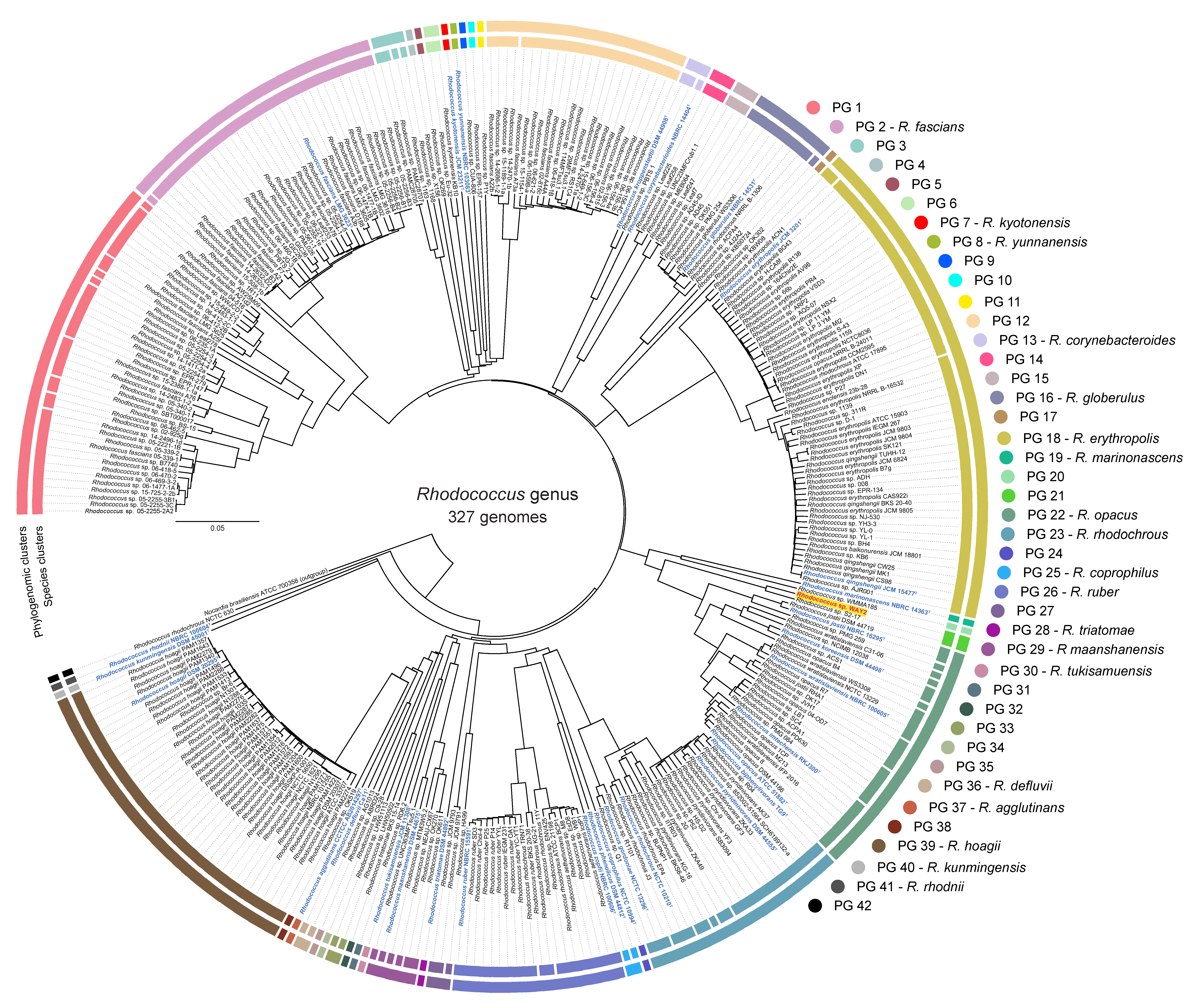Microorganisms 08 00774 g001