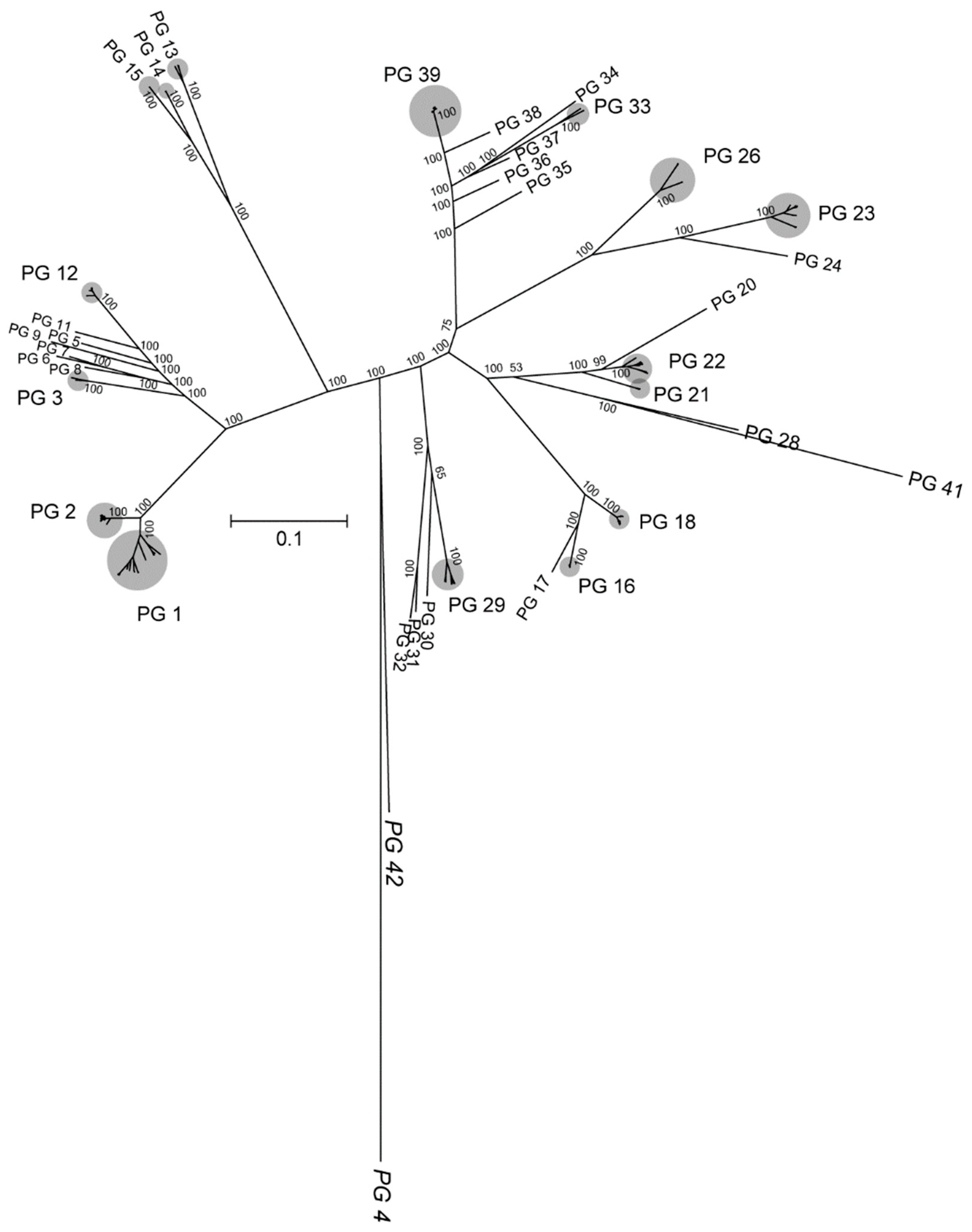 Microorganisms 08 00774 g004