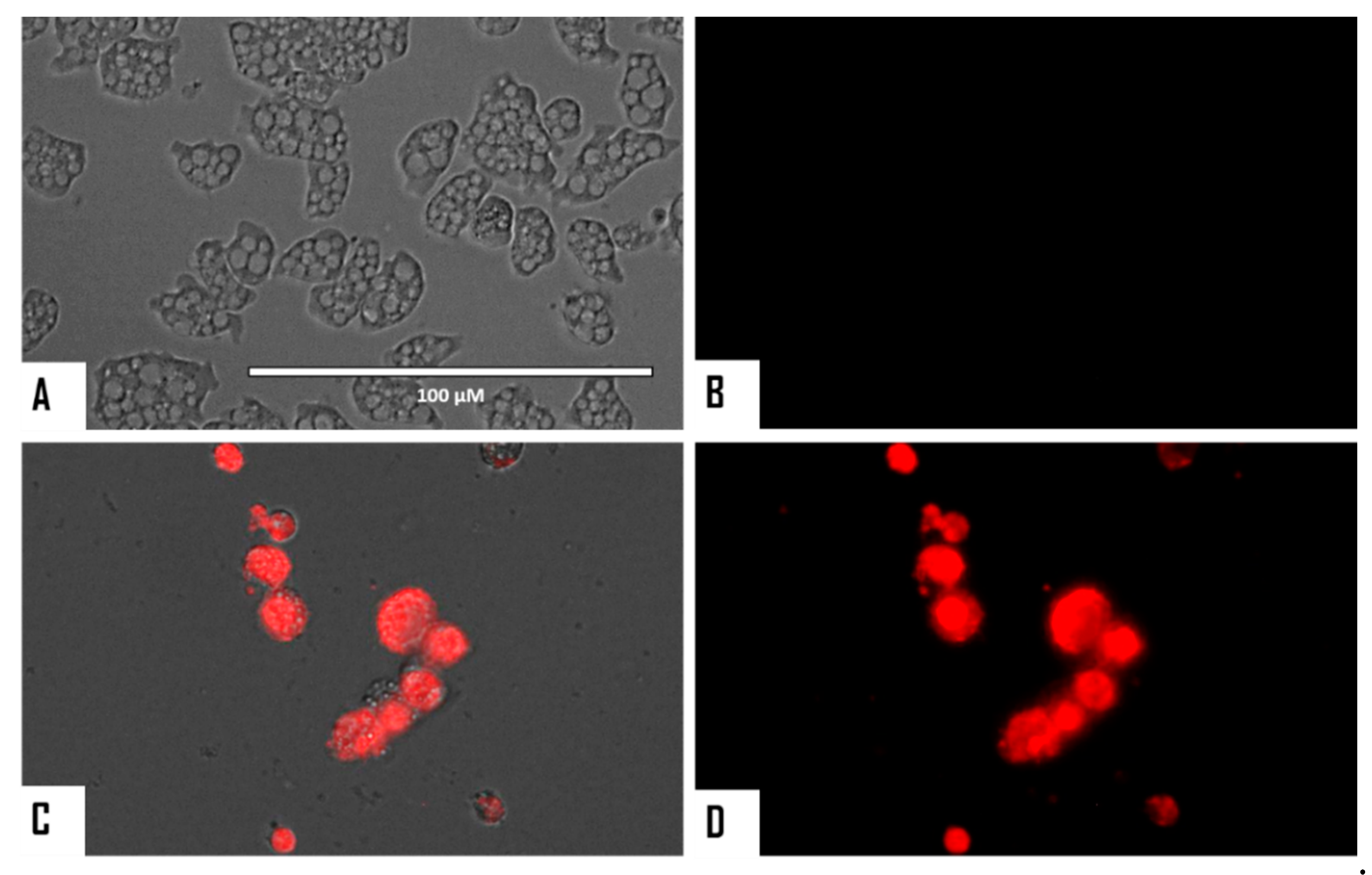 Microorganisms 08 00789 g008