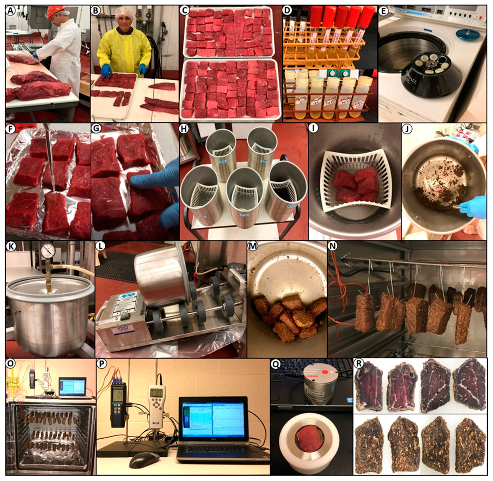 Microorganisms 08 00791 g001