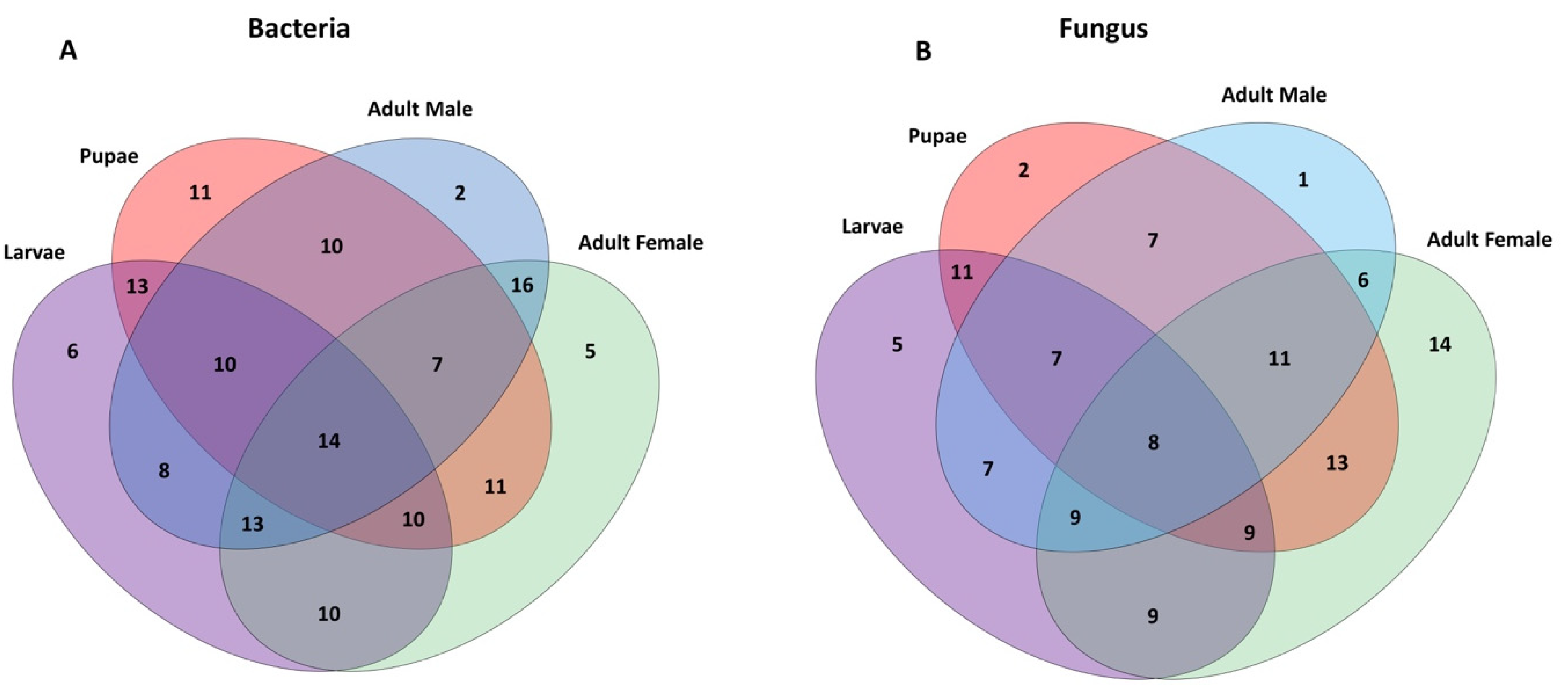 Microorganisms 08 00795 g001