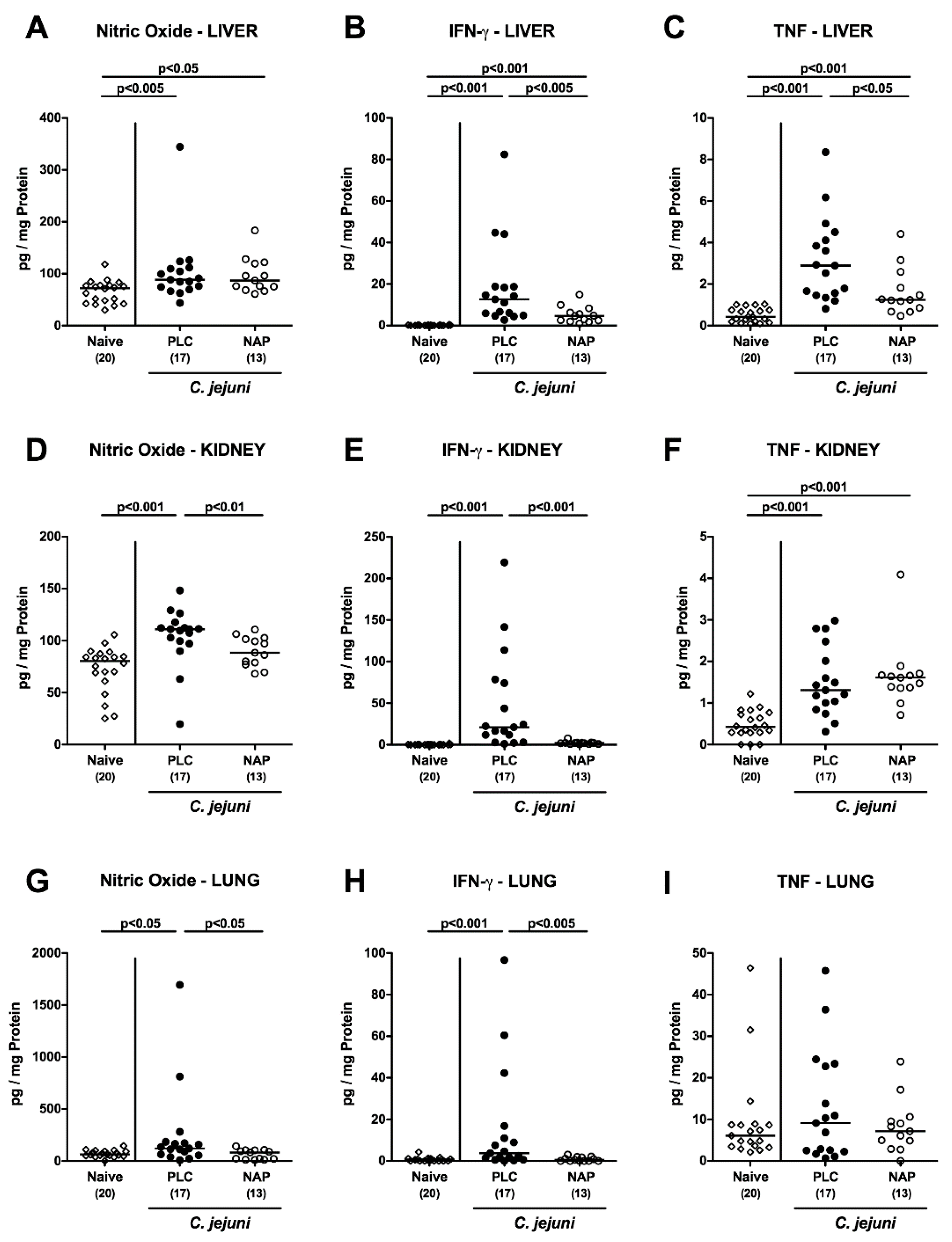 Microorganisms 08 00802 g006
