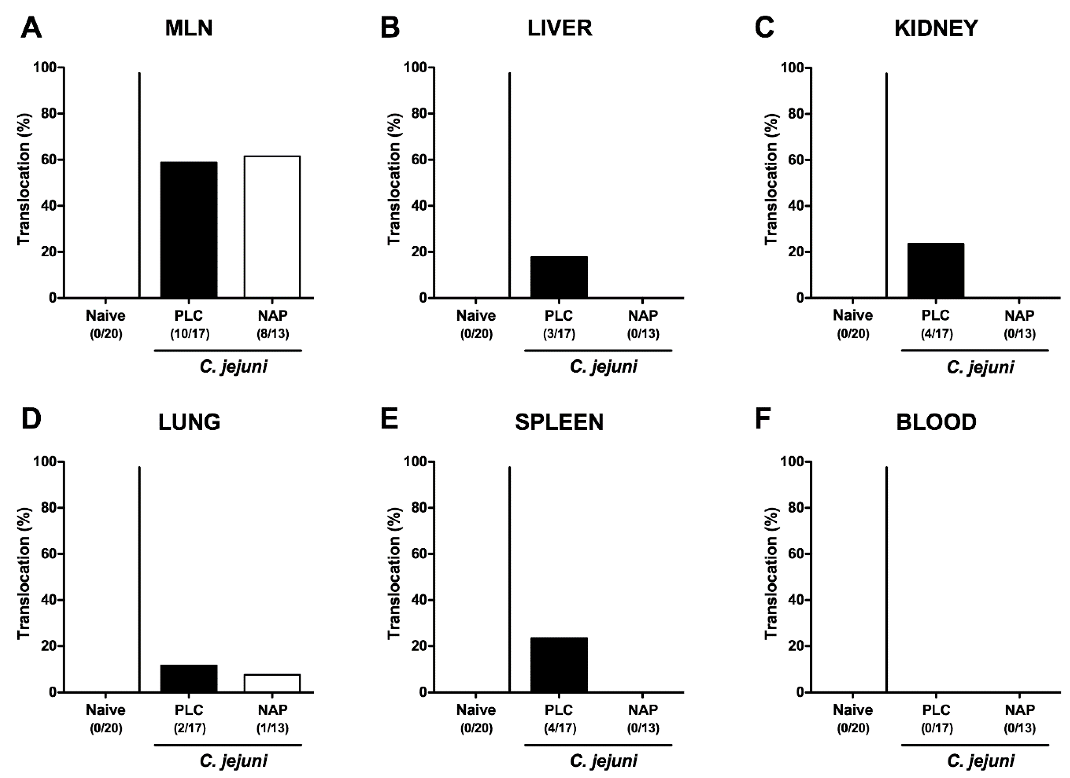 Microorganisms 08 00802 g008