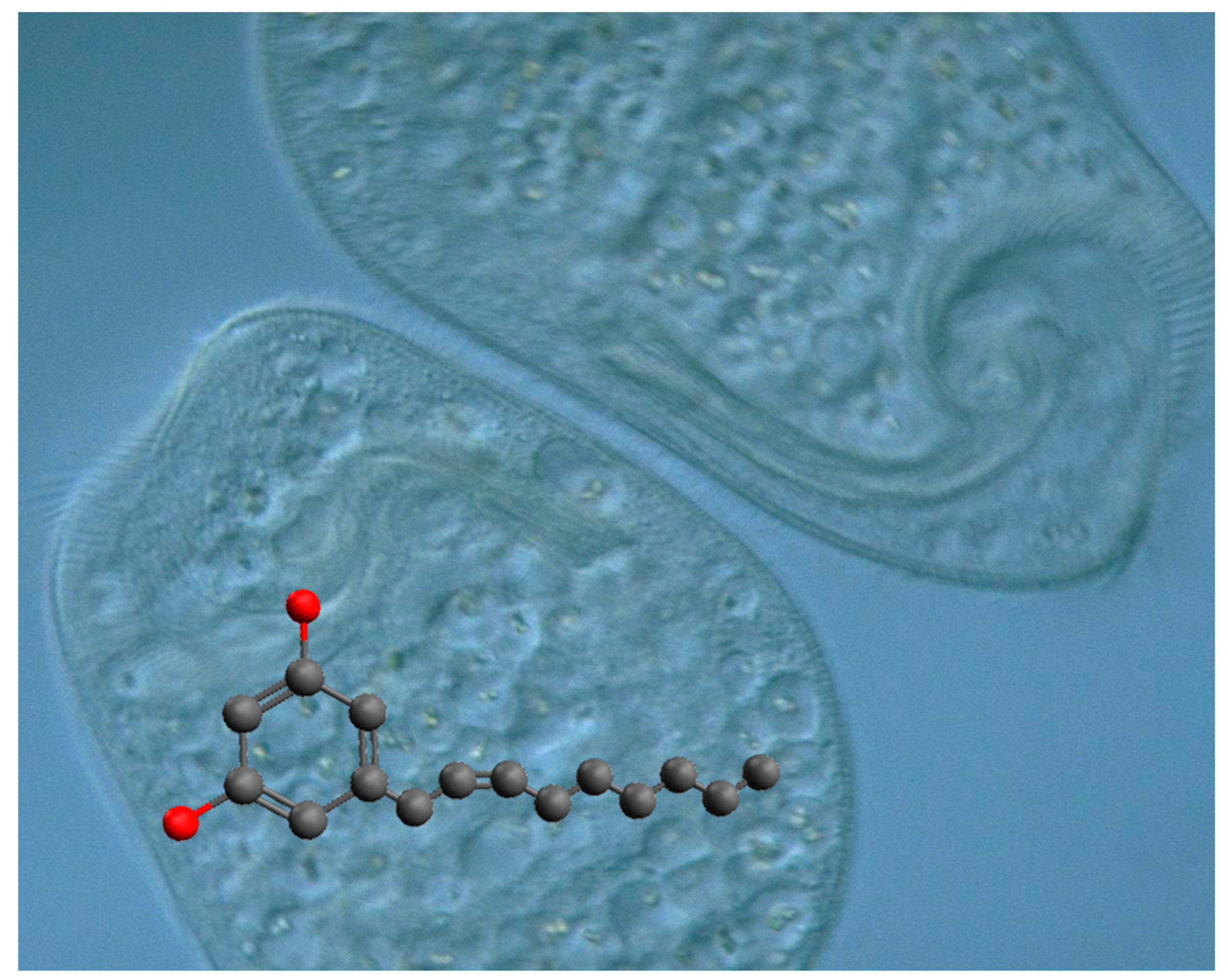 Microorganisms 08 00809 g002