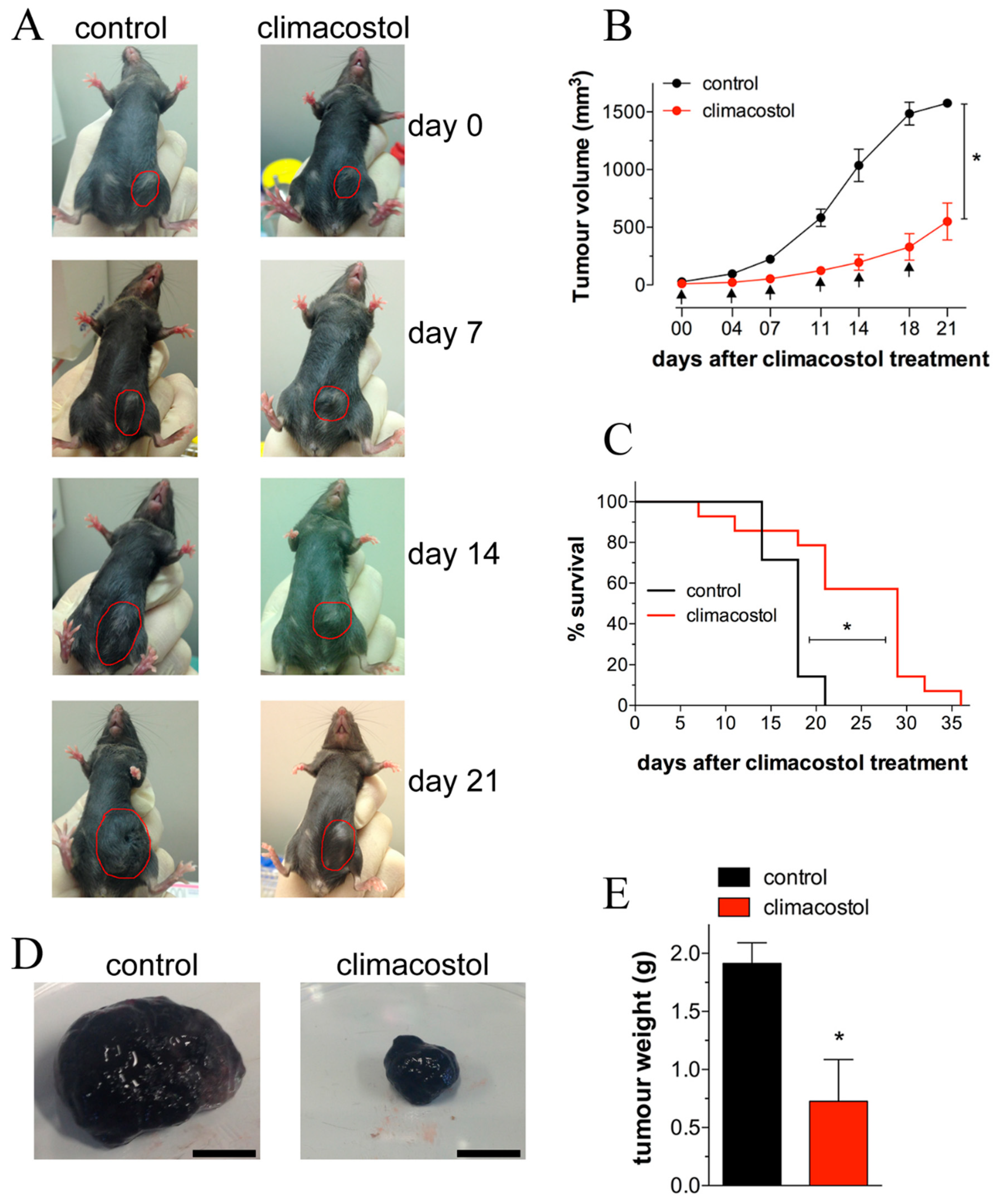 Microorganisms 08 00809 g004