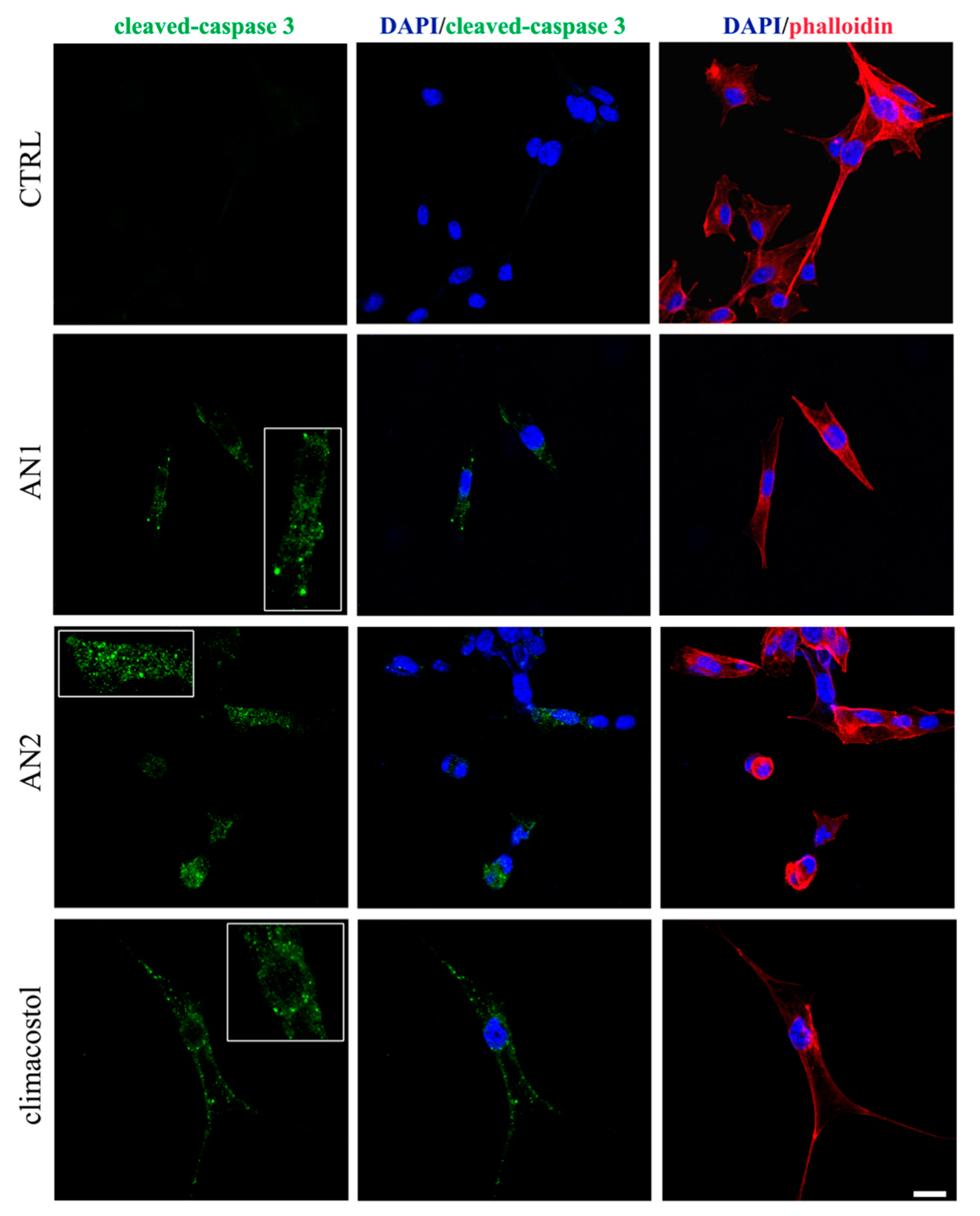 Microorganisms 08 00809 g006