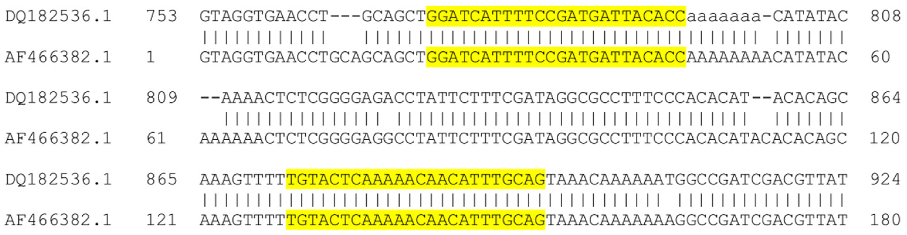 Microorganisms 08 00818 g001