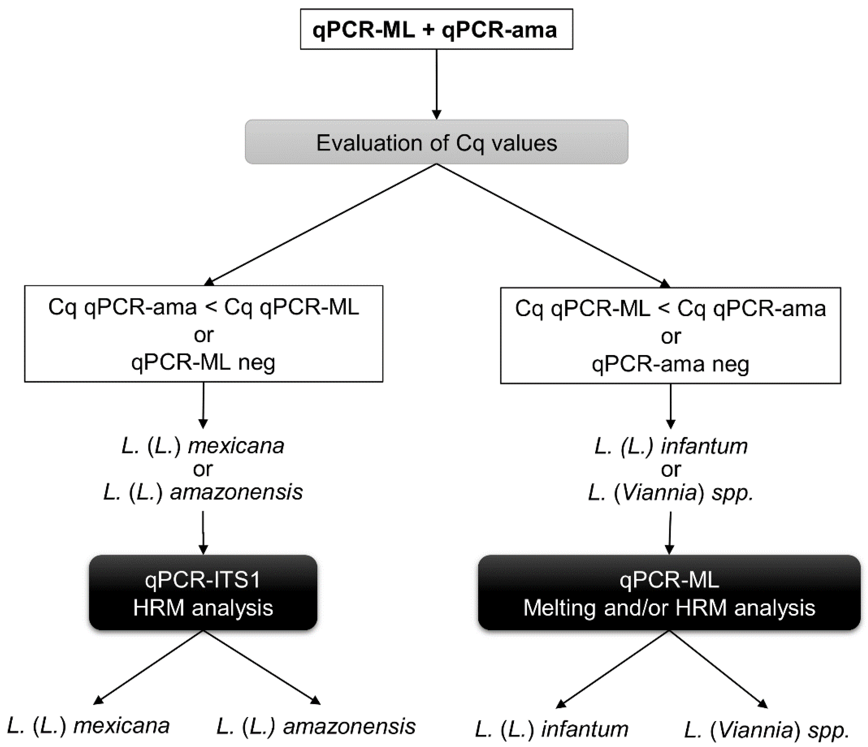 Microorganisms 08 00818 g006