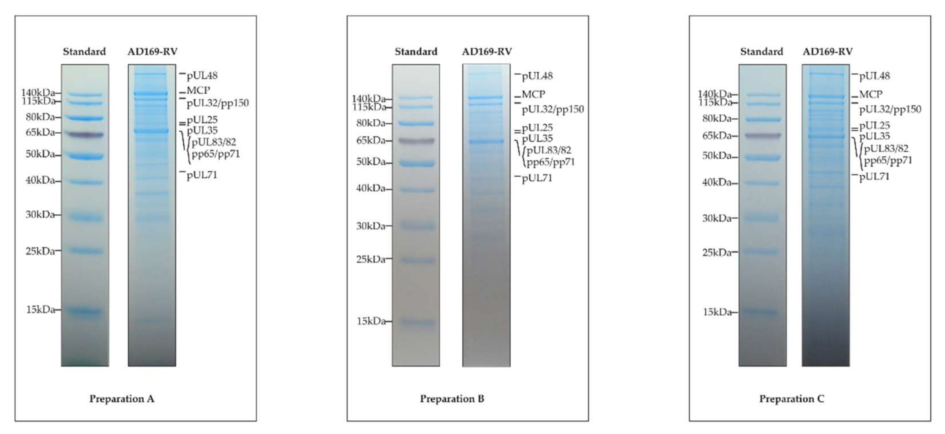 Microorganisms 08 00820 g001