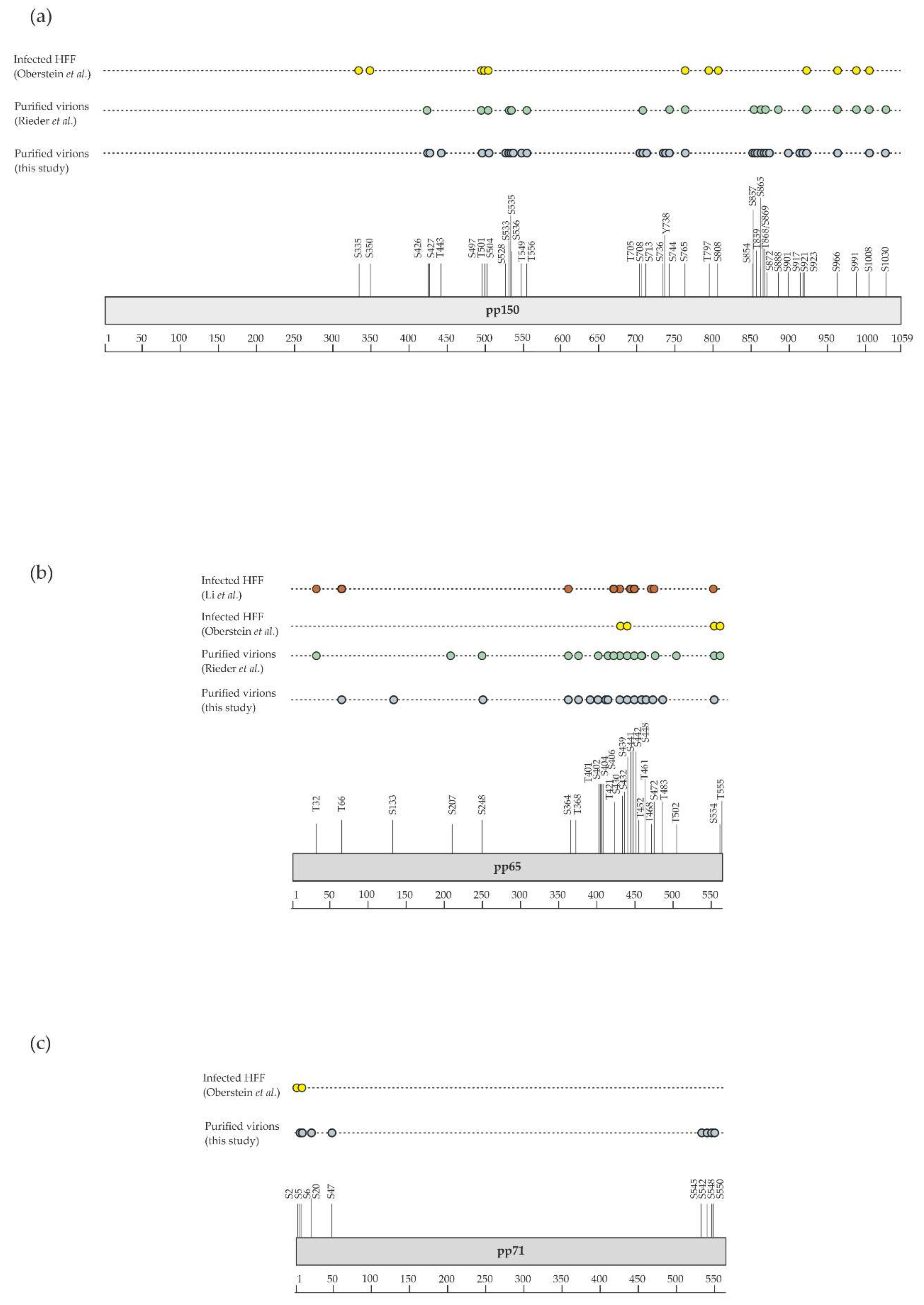 Microorganisms 08 00820 g004a