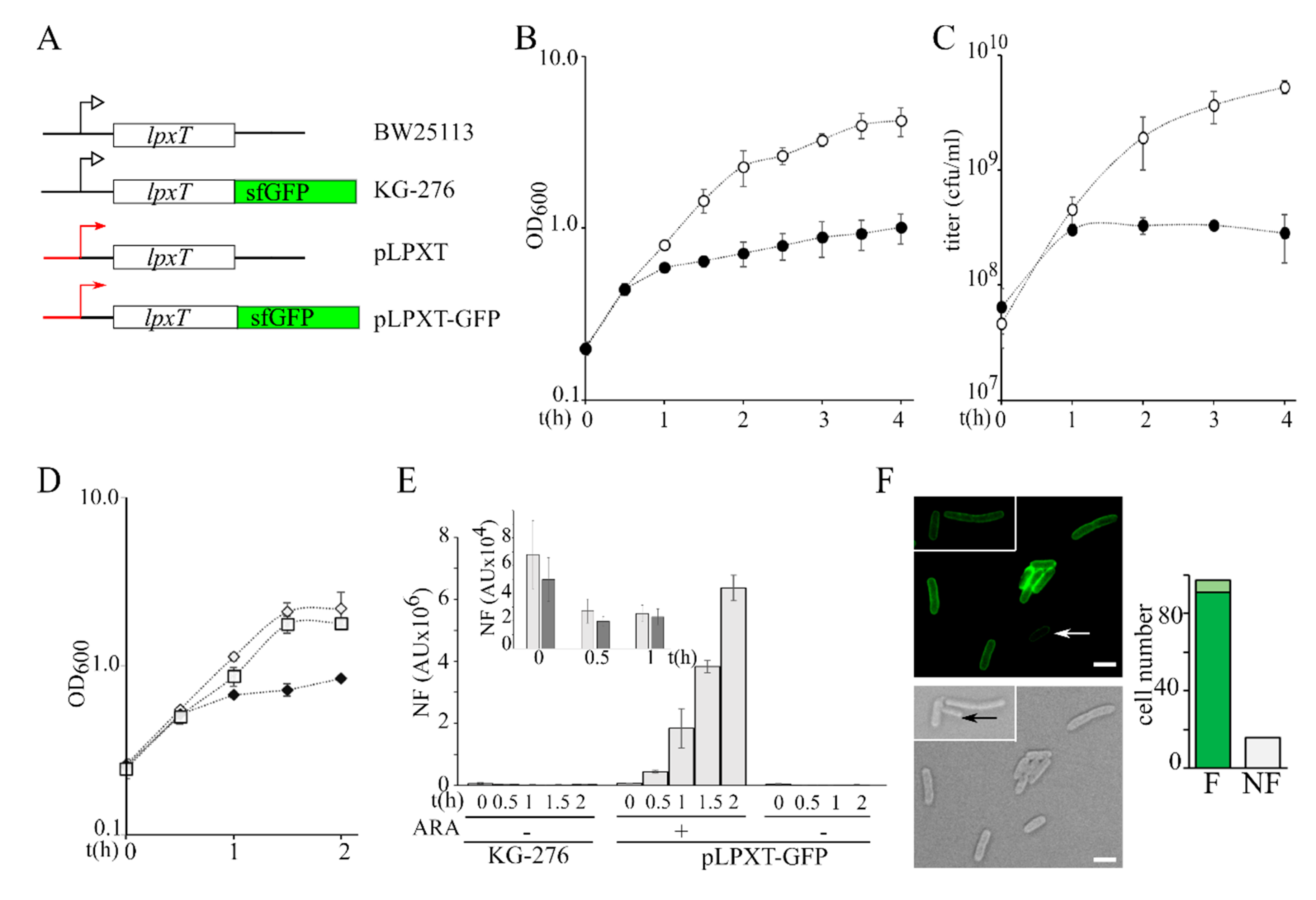 Microorganisms 08 00826 g002 Microorganisms 08 00826 g002
