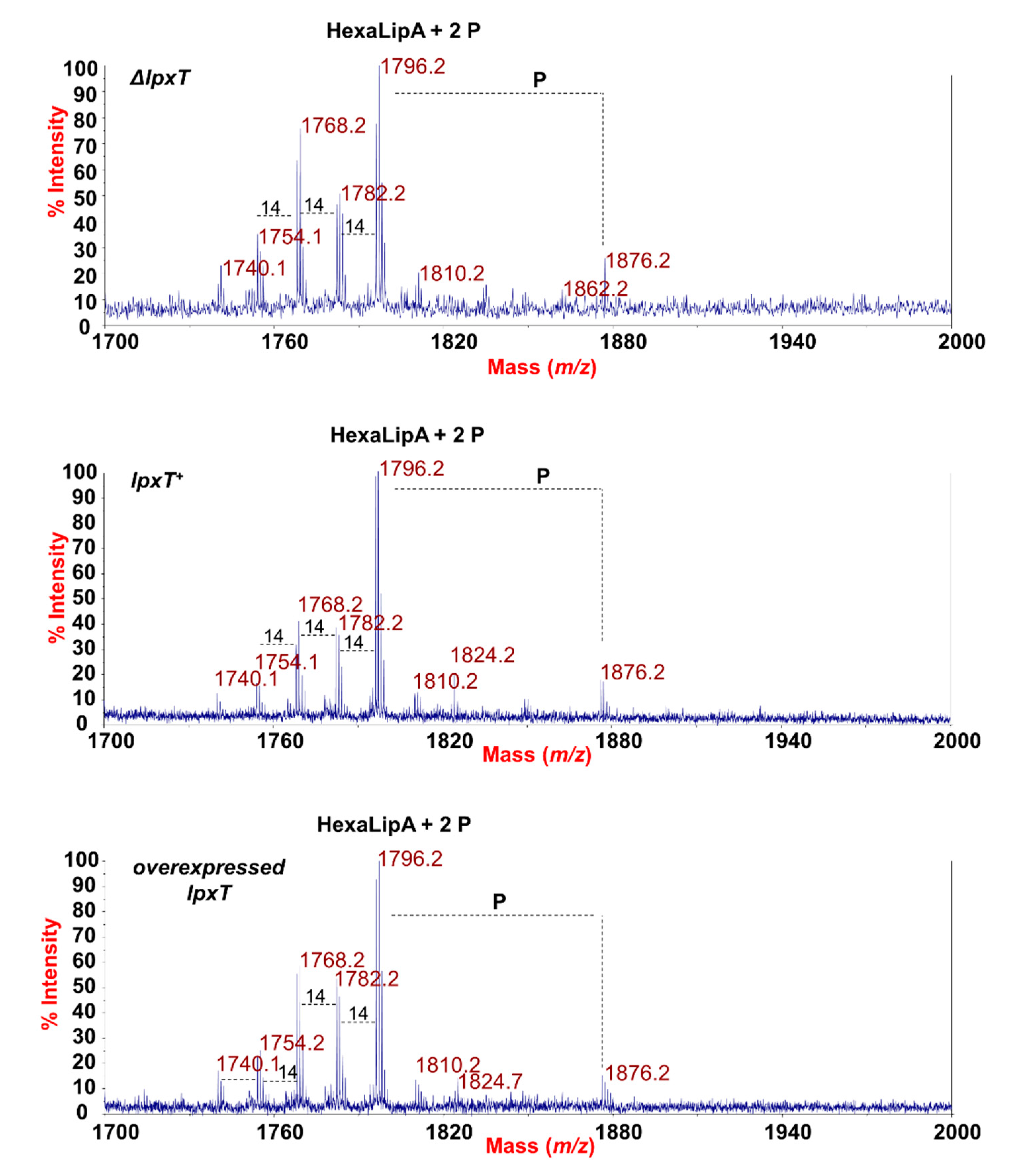 Microorganisms 08 00826 g008 Microorganisms 08 00826 g008