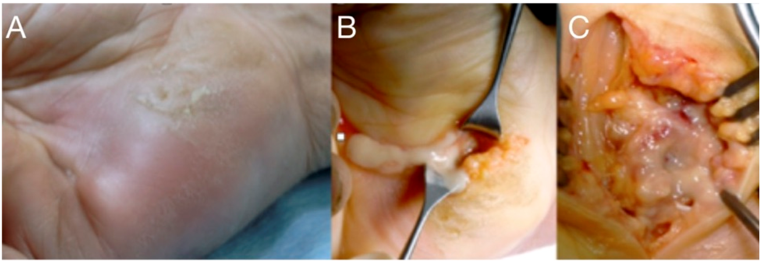 Microorganisms 08 00838 g003 Microorganisms 08 00838 g003