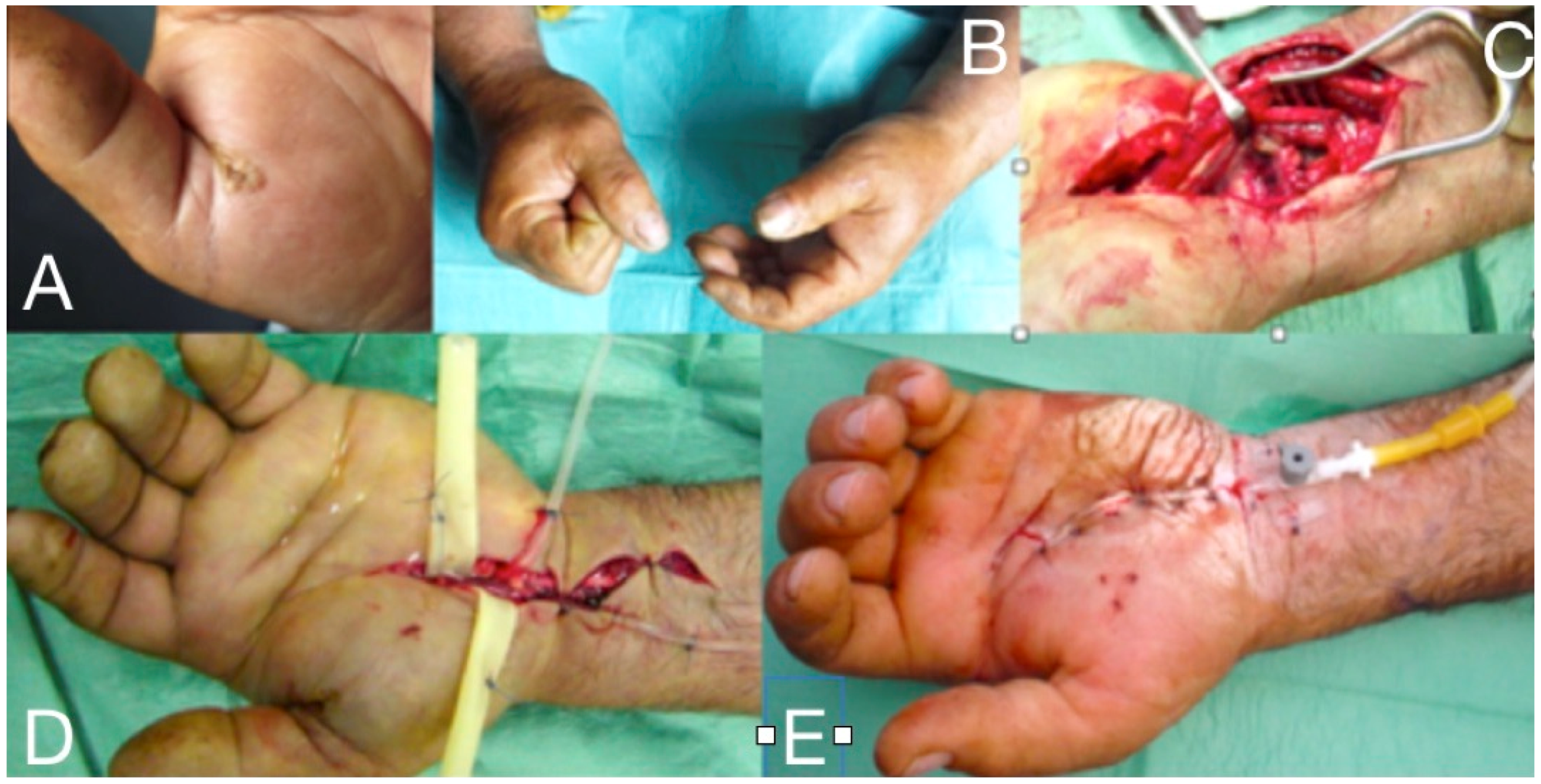 Microorganisms 08 00838 g007 Microorganisms 08 00838 g007